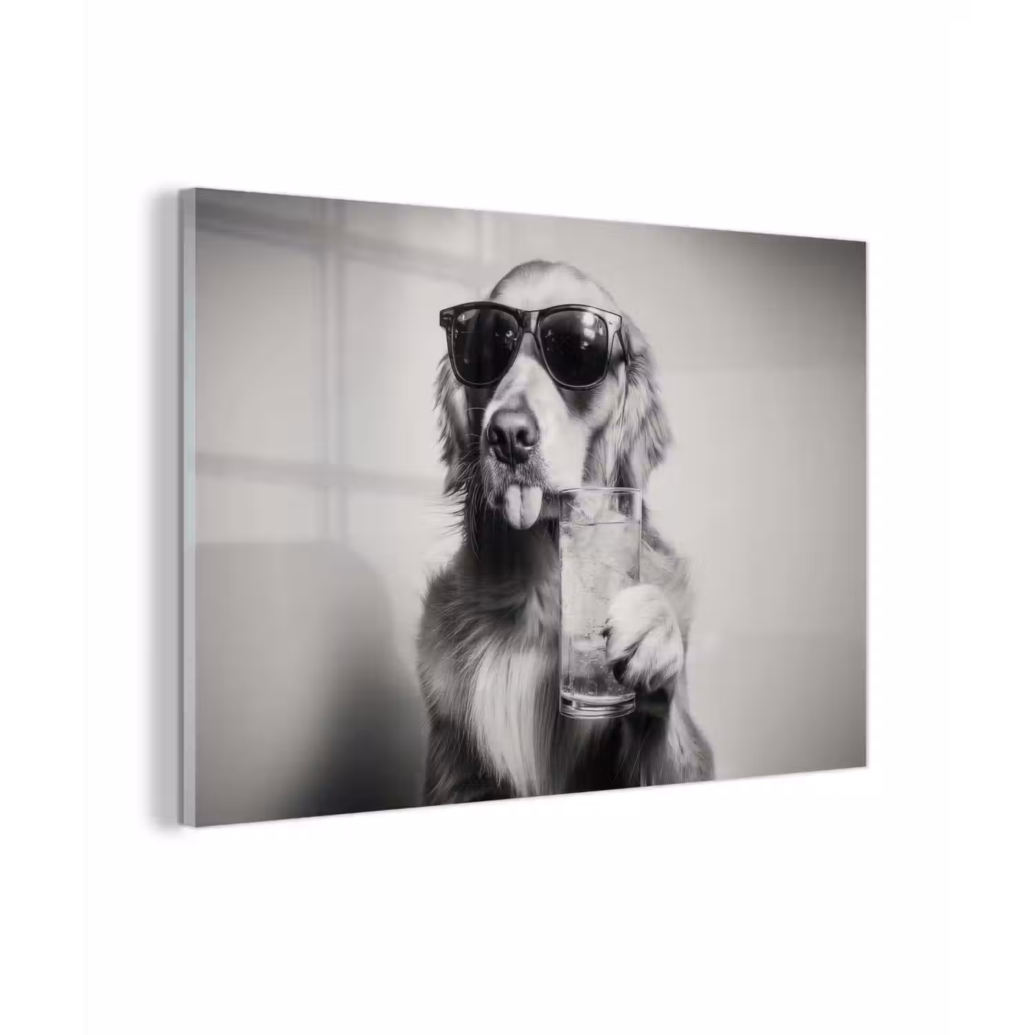 Golden retriever - Hond - Zonnebril - Gkas plexiglas 5mm klein -zzzproduct_nieuw