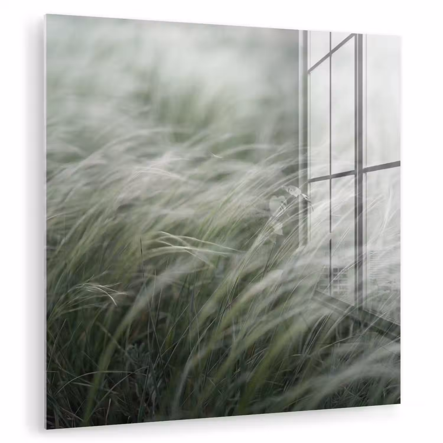 Gras - Wazig - Natuur - Groen - Zacht plexiglas 5mm klein -zzzproduct_nieuw