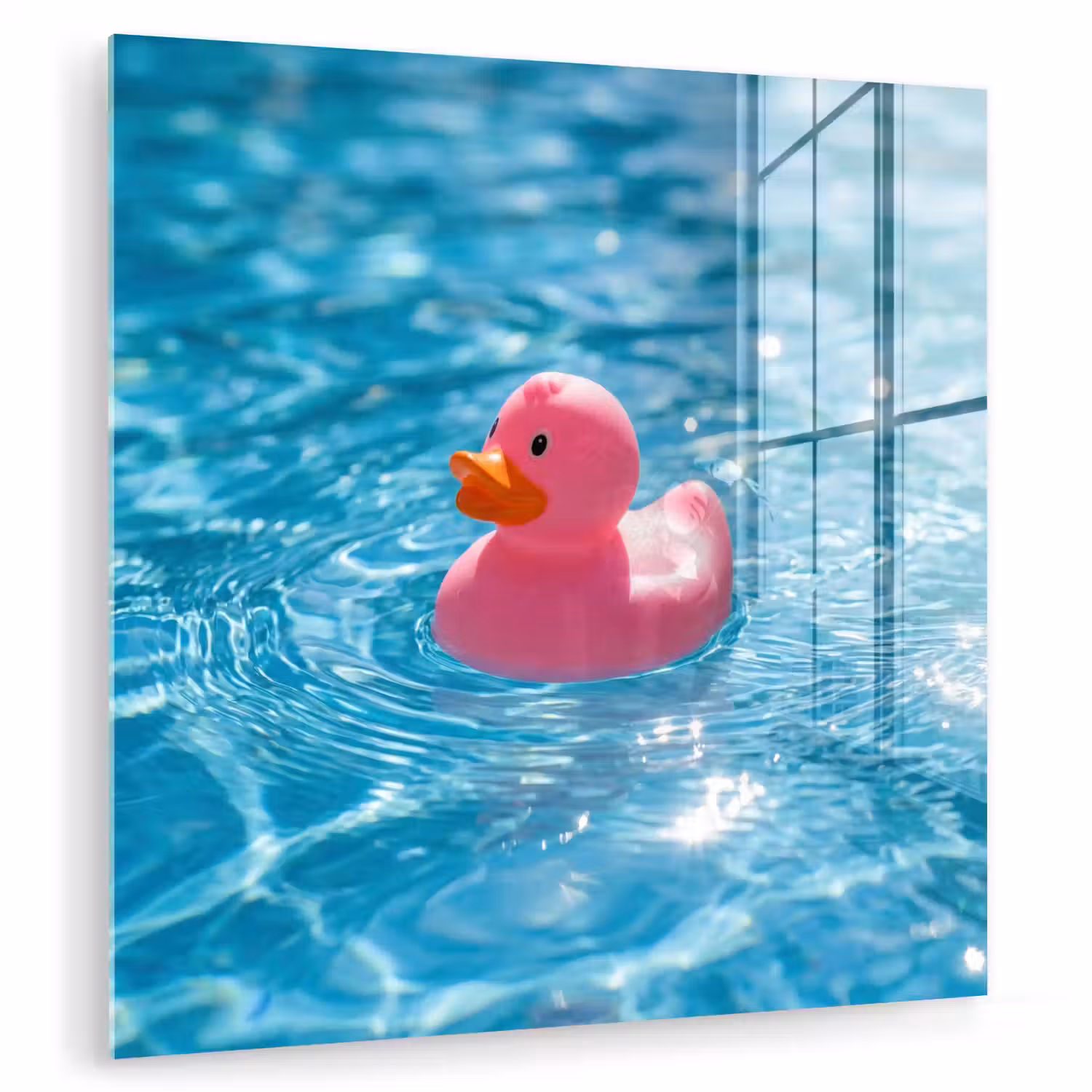 Badeend - Dobberend - Roze plexiglas 5mm klein -zzzproduct_nieuw