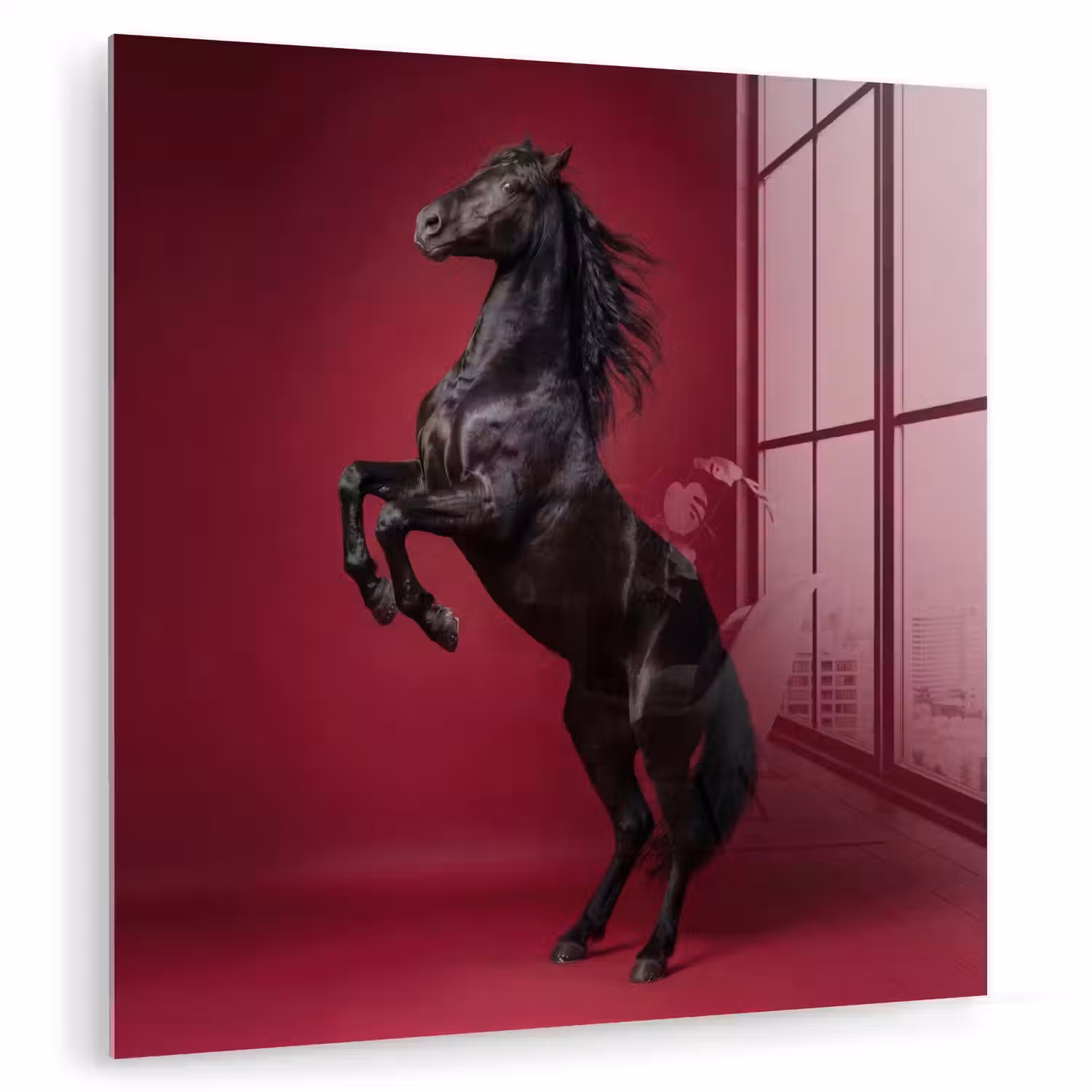 Hengst - Steigert - Rood plexiglas 5mm klein -zzzproduct_nieuw