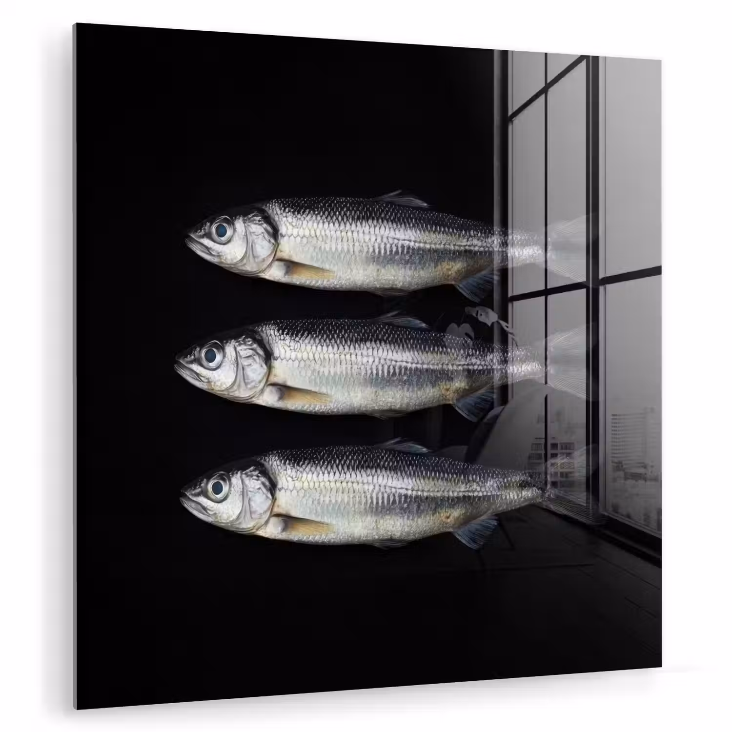 Haring - Vissen - Zwart plexiglas 5mm klein -zzzproduct_nieuw