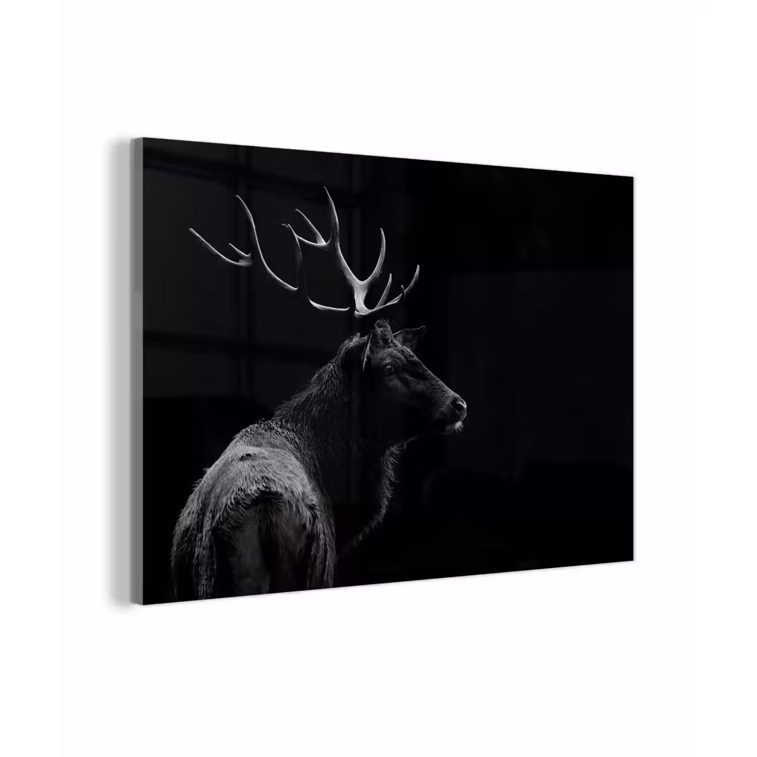 Hert - Zwart - Portret - Gewei - Dieren plexiglas 5mm klein -sfeer1