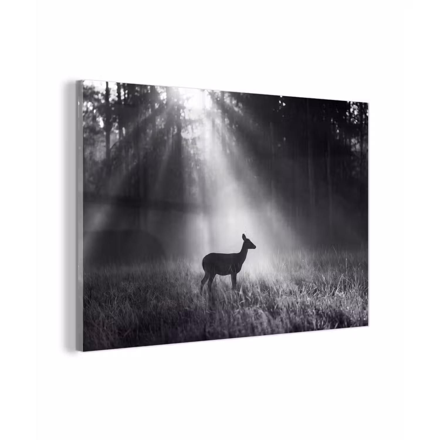 Hert - Bos - Zonnestralen - Zwart-wit - Natuur plexiglas 5mm klein -zzzproduct_nieuw