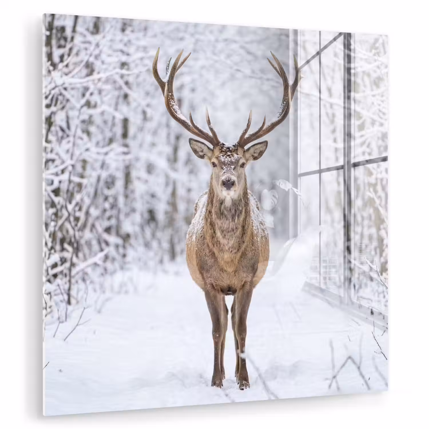Hert - Winter - Bos - Natuur - Wit plexiglas 5mm klein -zzzproduct_nieuw