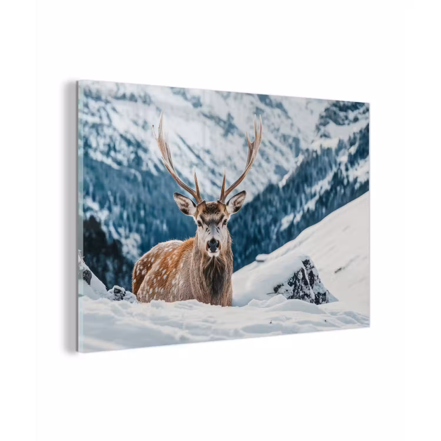 Hert - Landschap - Winter - Natuur - Dieren - Bergen plexiglas 5mm klein -zzzproduct_nieuw
