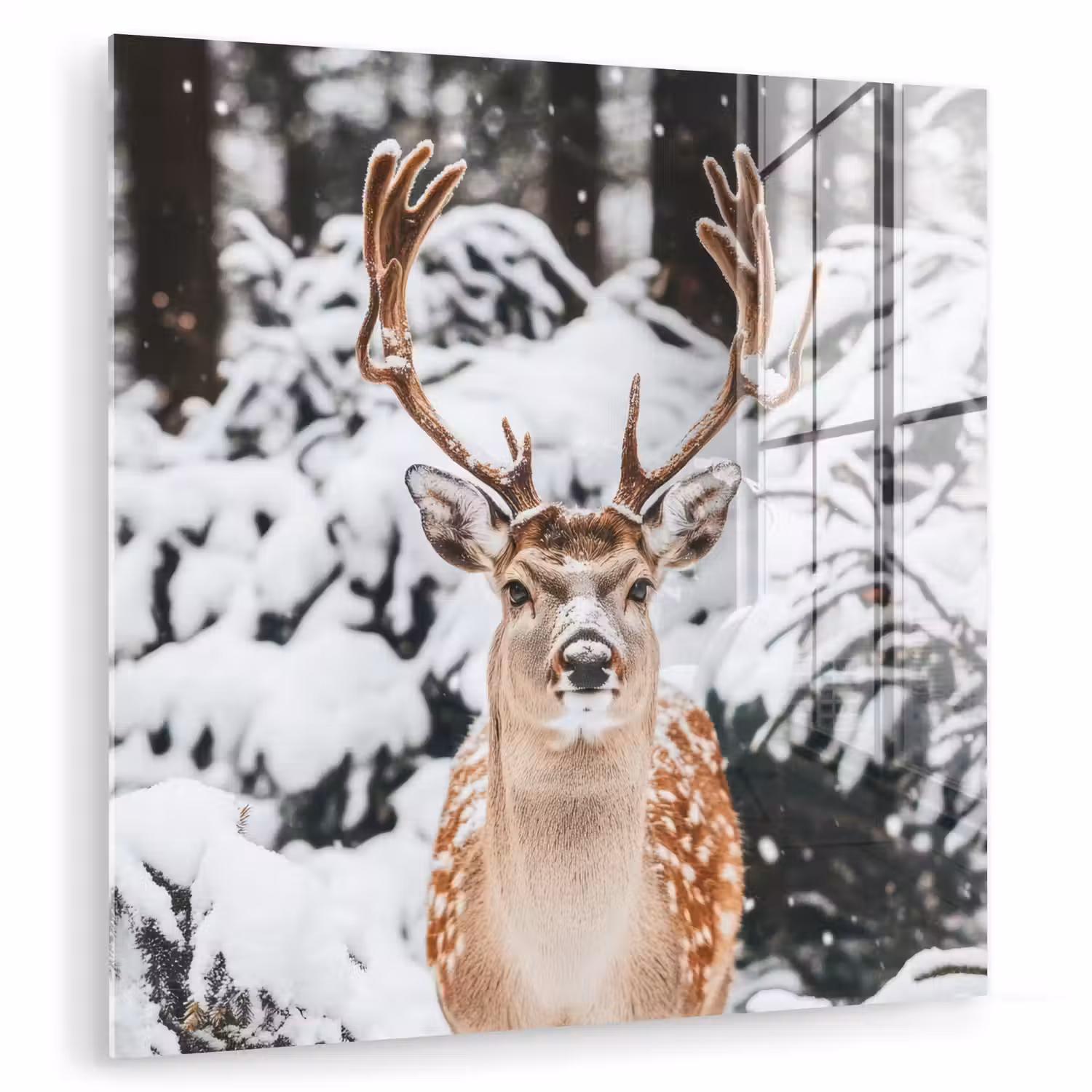 Hert - Sneeuw - Winter - Bos - Dieren plexiglas 5mm klein -zzzproduct_nieuw