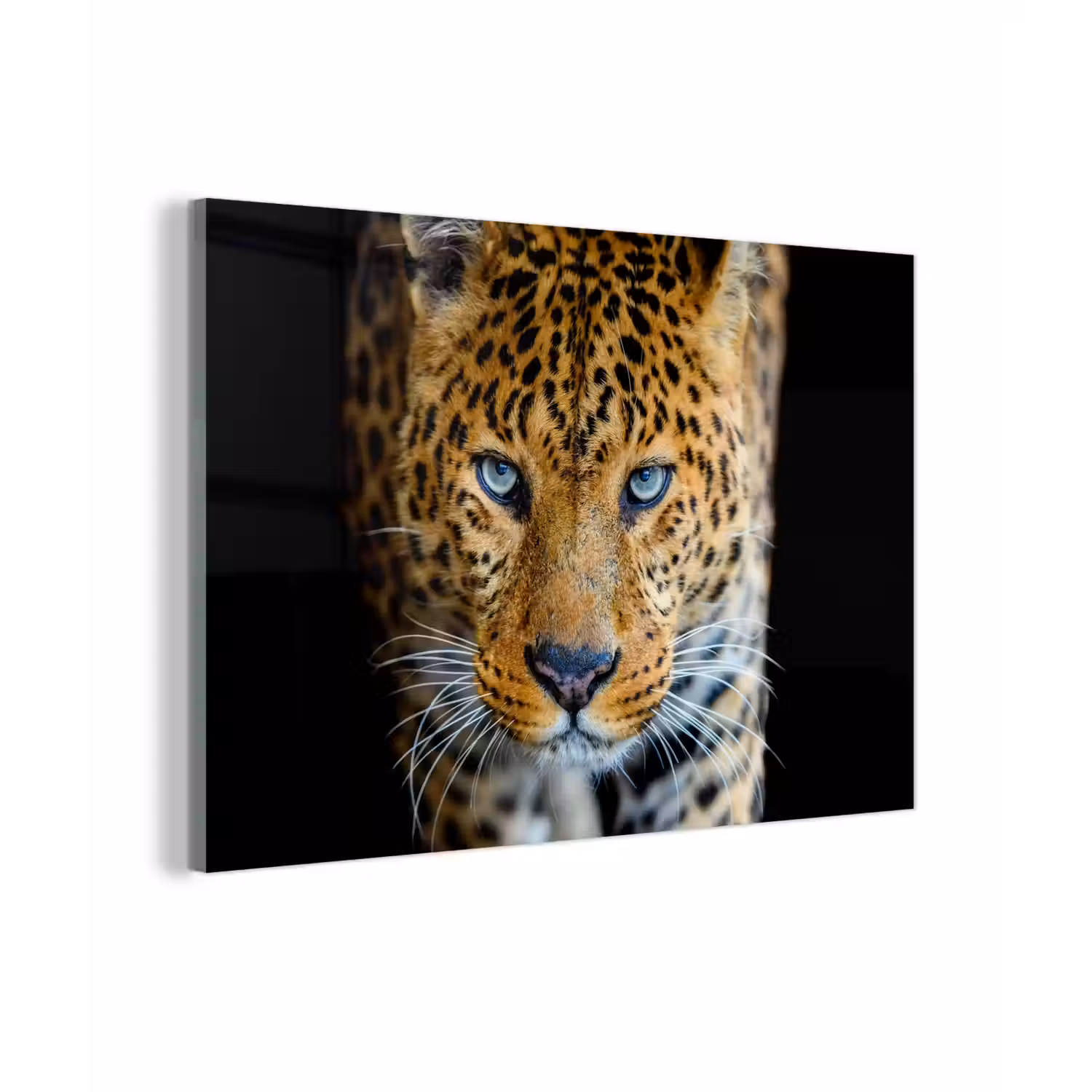 Luipaard - Dieren - Portret - Wilde dieren - Zwart plexiglas 5mm klein -zzzproduct_nieuw