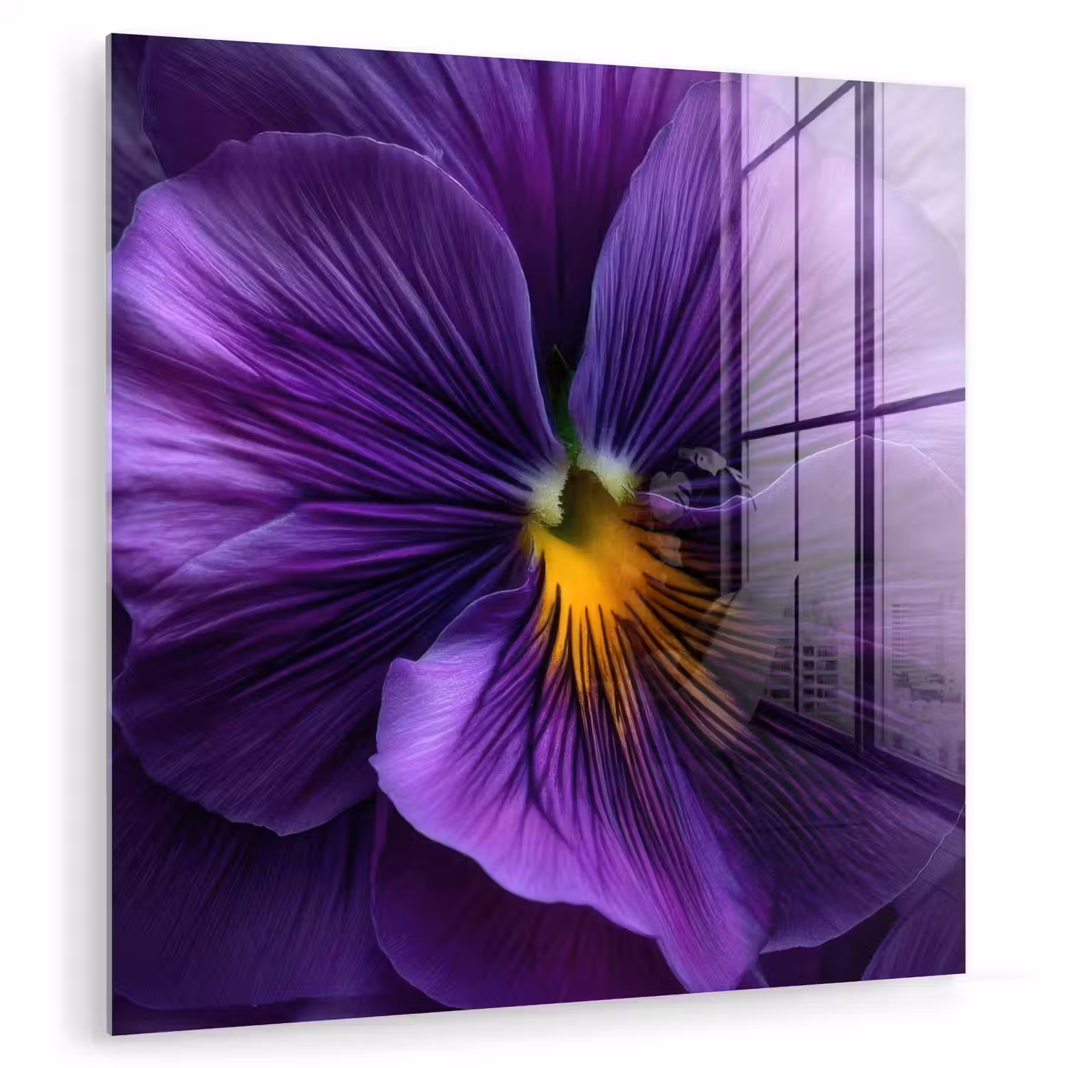 Paars - Viool - Diepte plexiglas 5mm klein -zzzproduct_nieuw