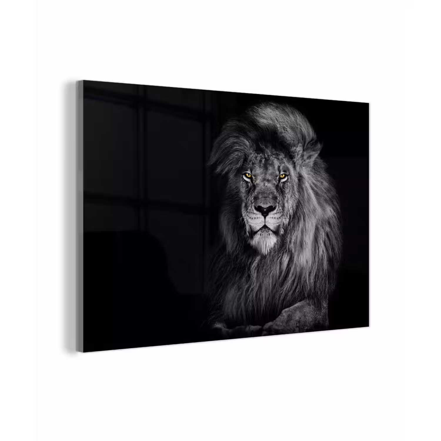 Leeuw - Ogen - Oranje - Zwart wit - Dieren - Portret plexiglas 5mm klein -zzzproduct_nieuw