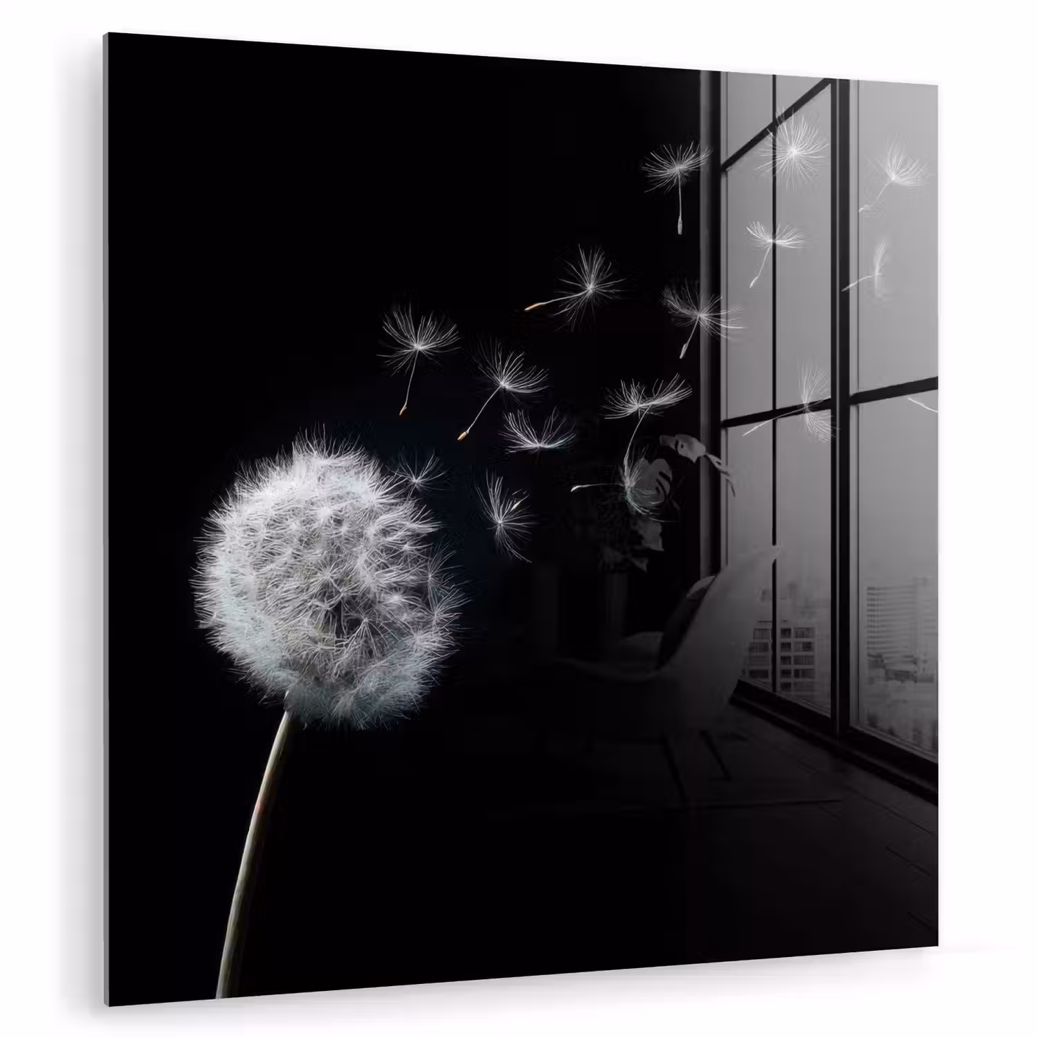 Paardenbloem - Zwart - Natuur plexiglas 5mm klein -zzzproduct_nieuw