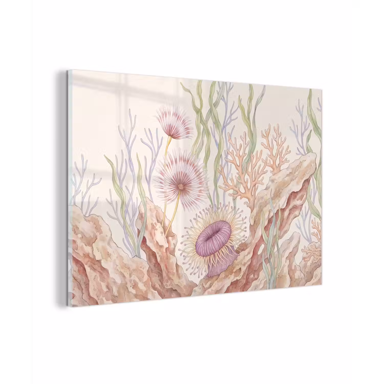Zeeleven - Koraal - Onderwater - Illustratie - Kleurrijk plexiglas 5mm klein -zzzproduct_nieuw