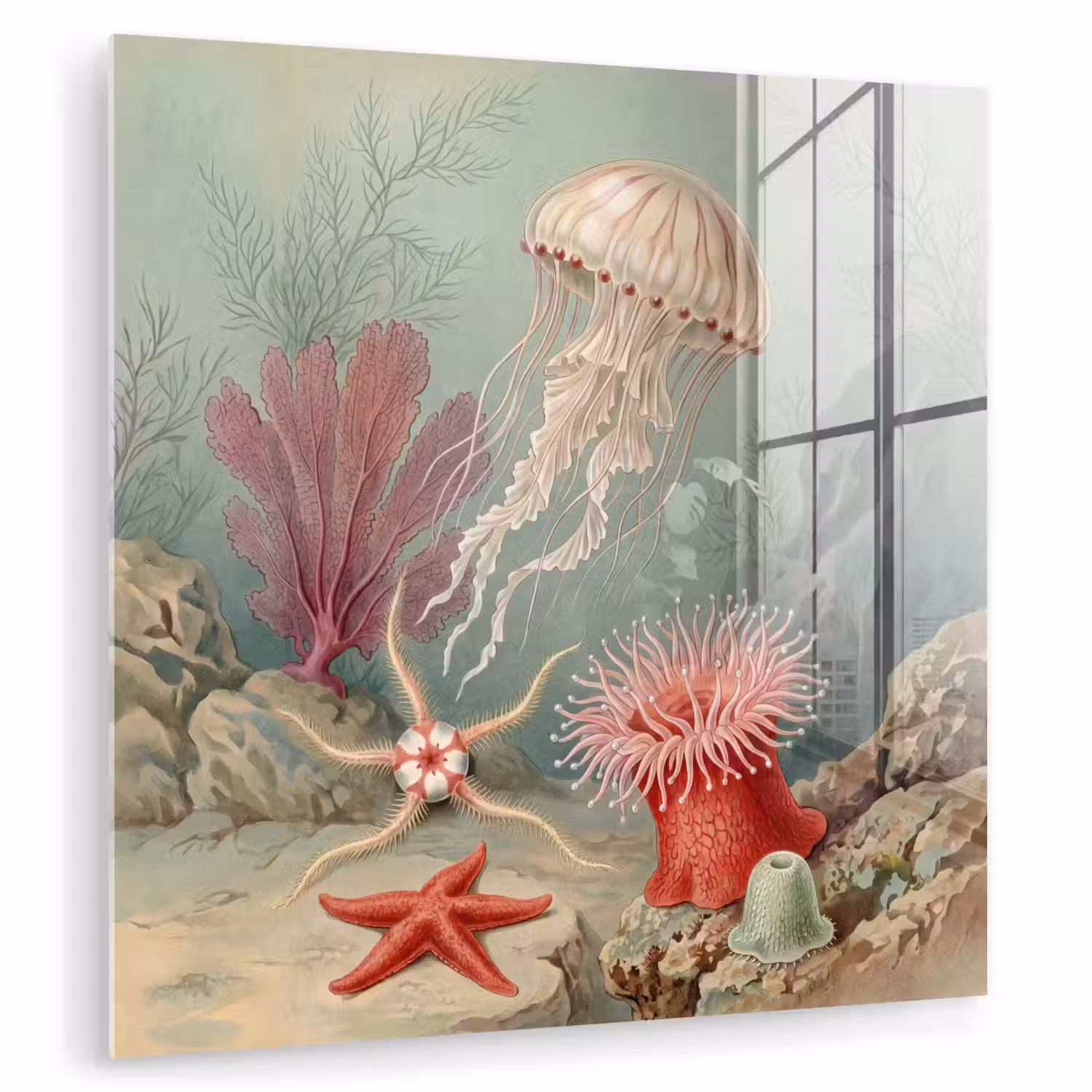Zeeleven - Kwal - Onderwater - Illustratie - Beige plexiglas 5mm klein -zzzproduct_nieuw