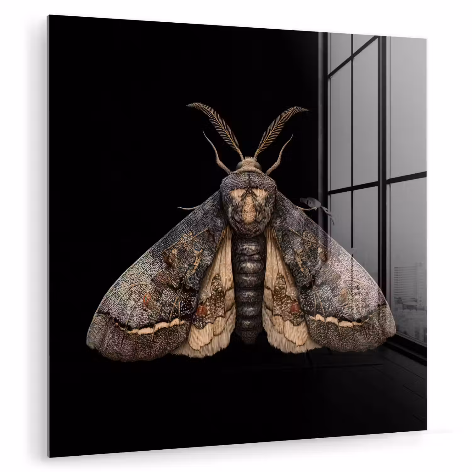Mot - Bladachtig - Grijs plexiglas 5mm klein -zzzproduct_nieuw