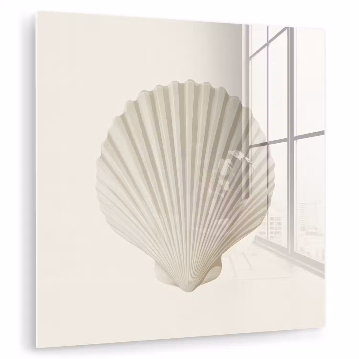 Schelp - Minimalistisch - Wit plexiglas 5mm klein -zzzproduct_nieuw