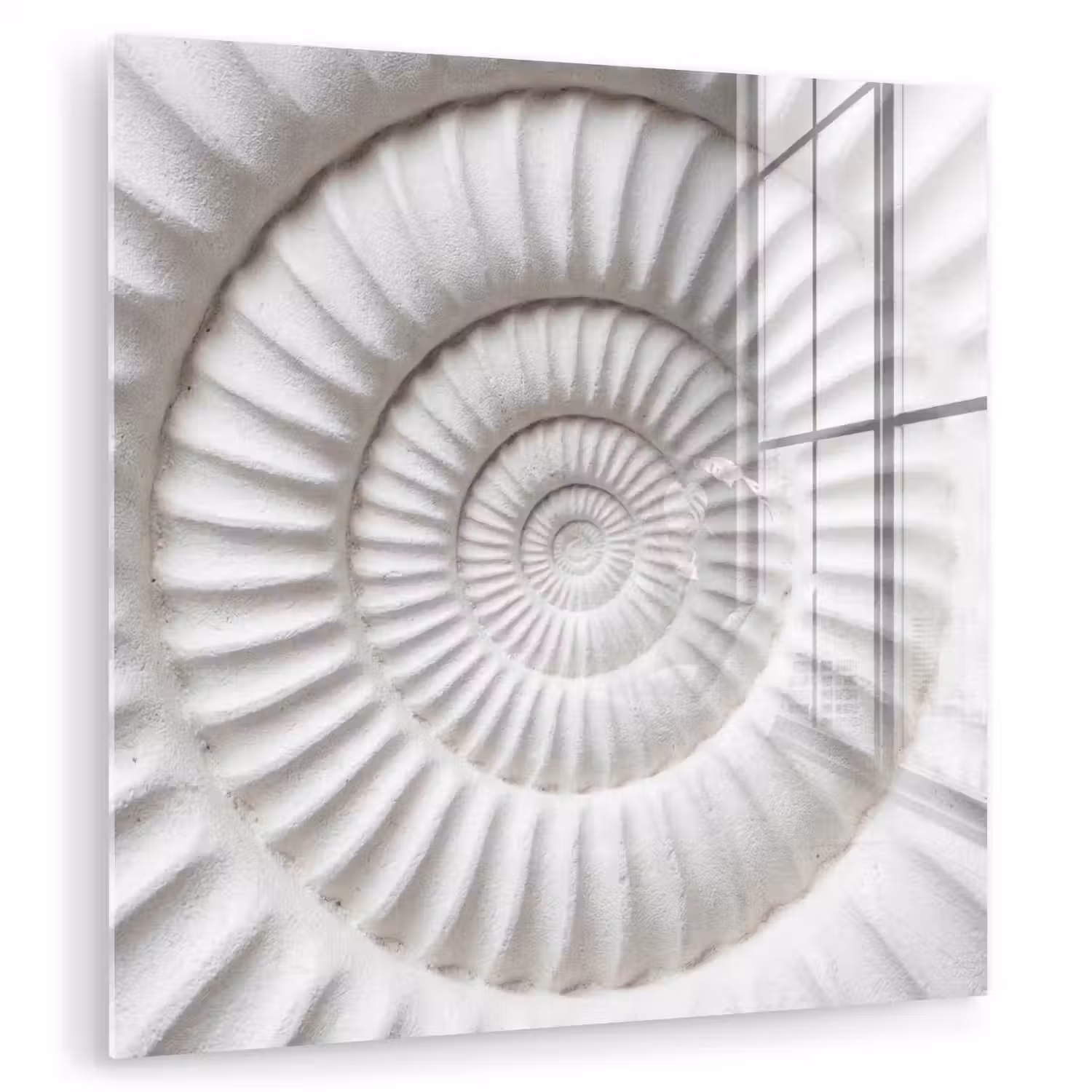 Schelp - Spiraal - Wit plexiglas 5mm klein -zzzproduct_nieuw