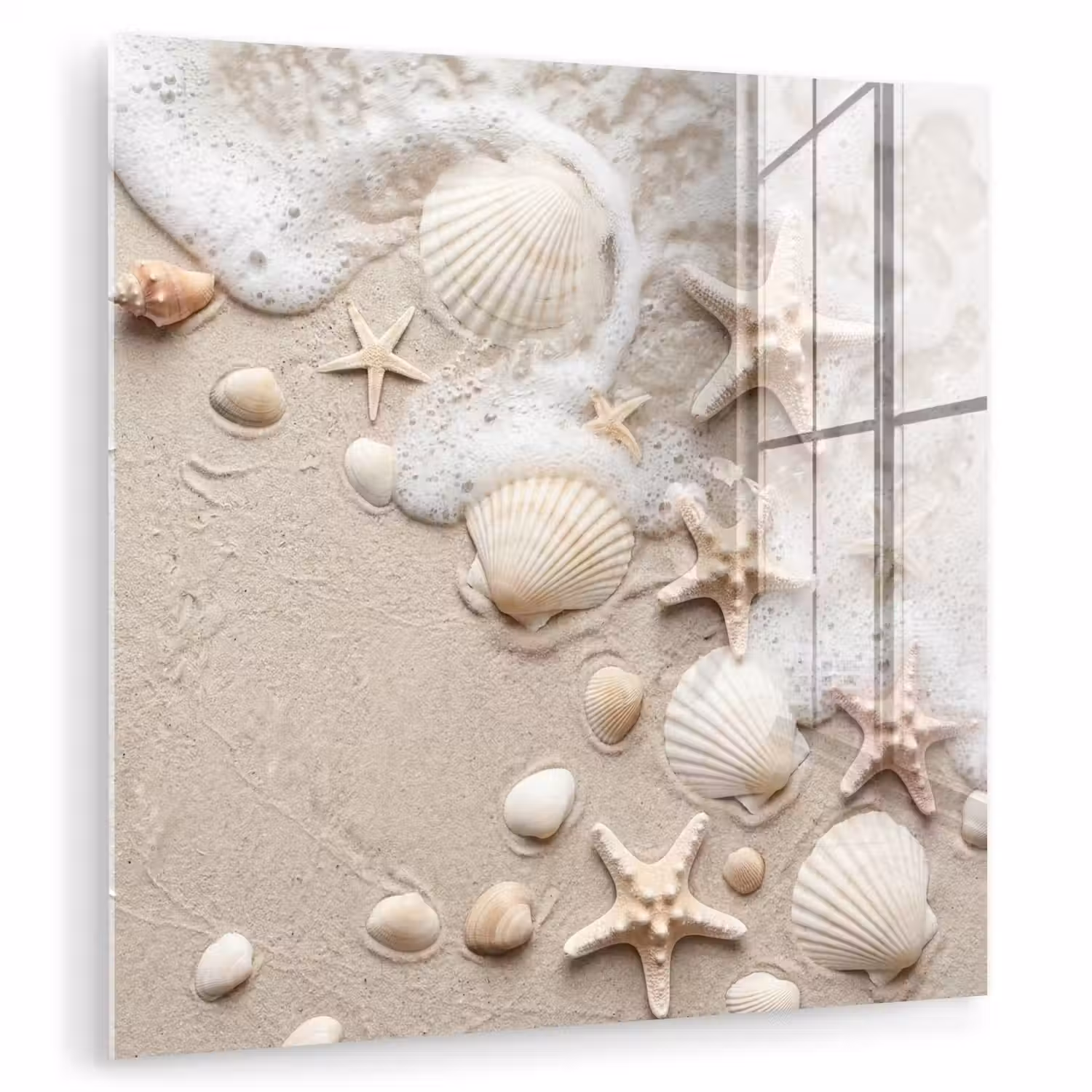 Schelpen - Zeesterren - Strand plexiglas 5mm klein -zzzproduct_nieuw