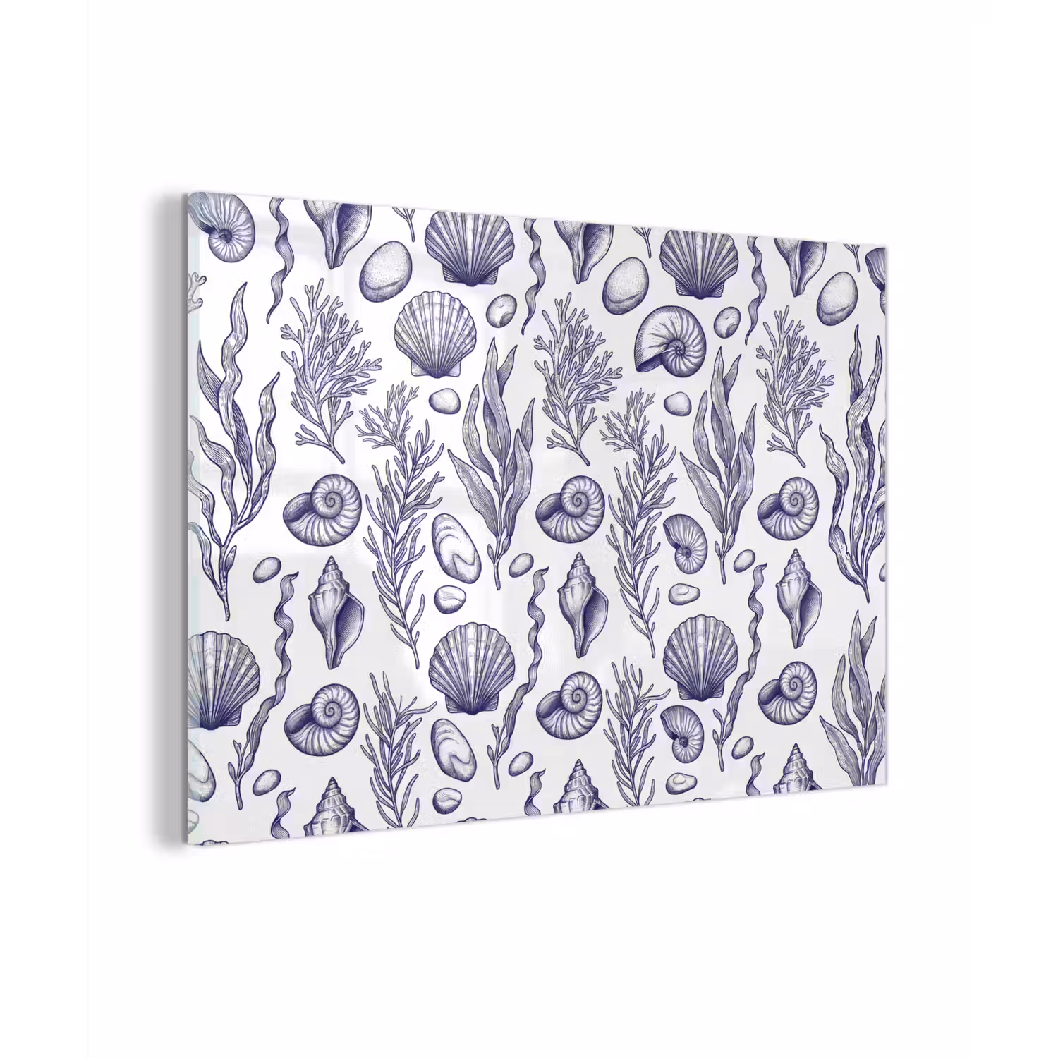 Schelpen - Zeewier - Oceaan - Illustratie - Blauw plexiglas 5mm klein -zzzproduct_nieuw
