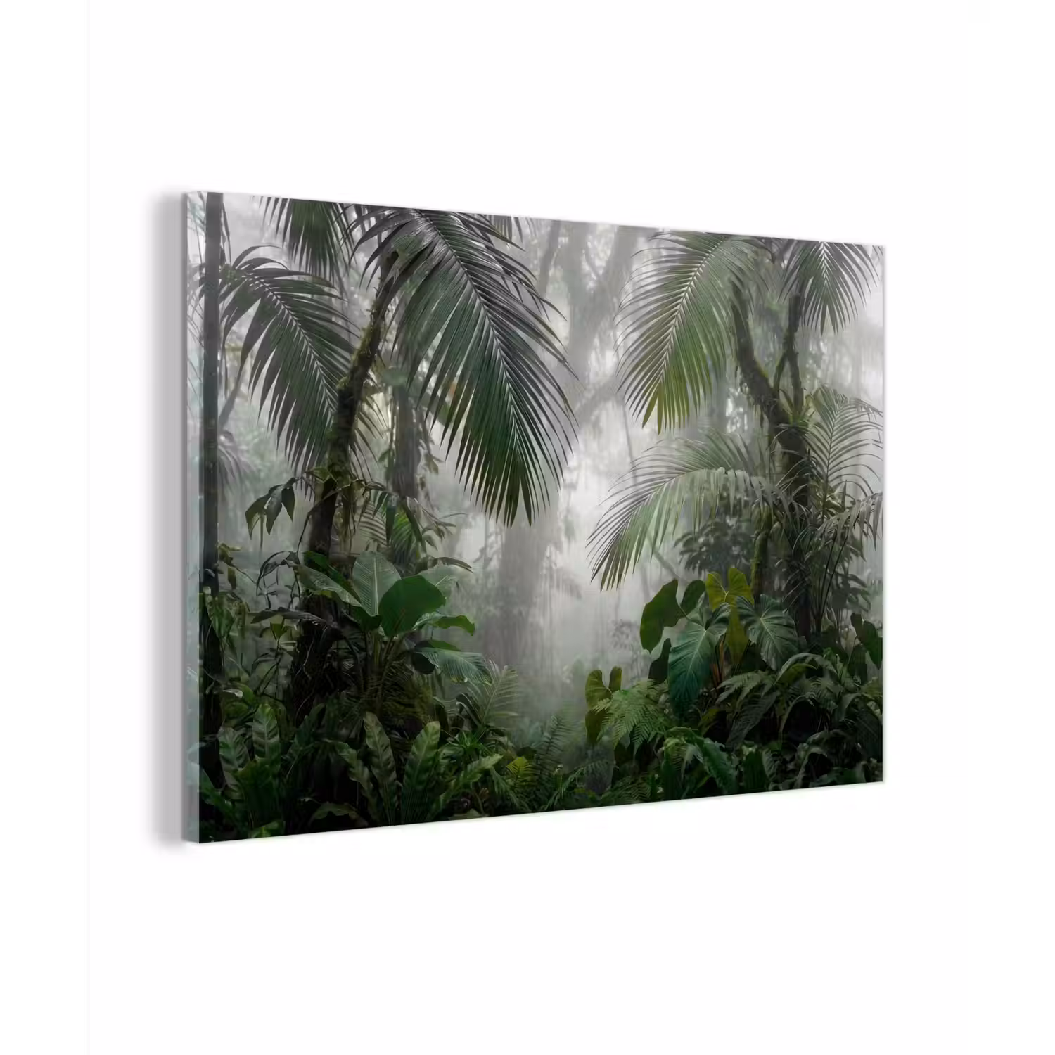 Natuur - Jungle - Mist - Tropisch - Groen plexiglas 5mm klein -zzzproduct_nieuw