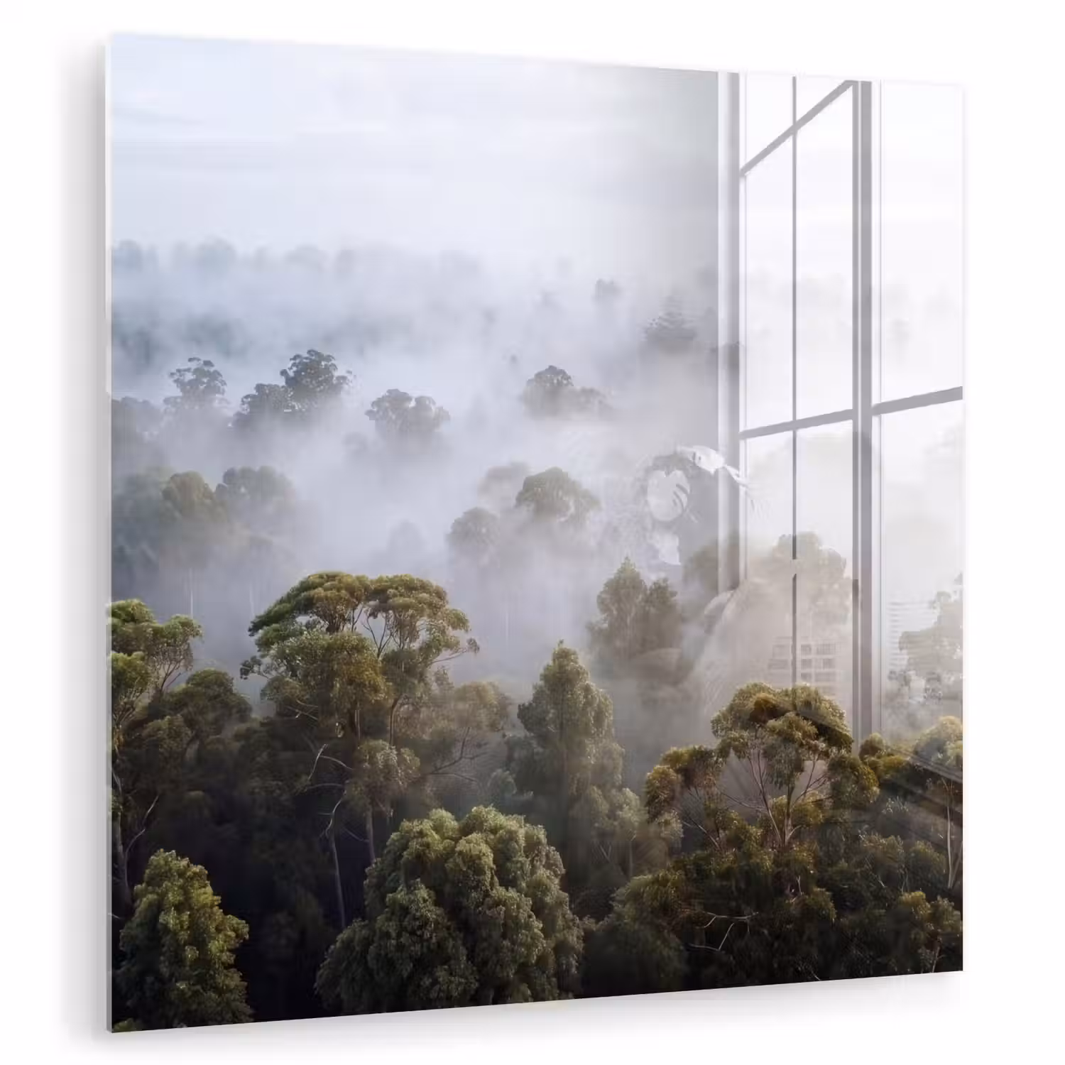 Natuur - Mist - Bos - Ochtend - Goud plexiglas 5mm klein -zzzproduct_nieuw