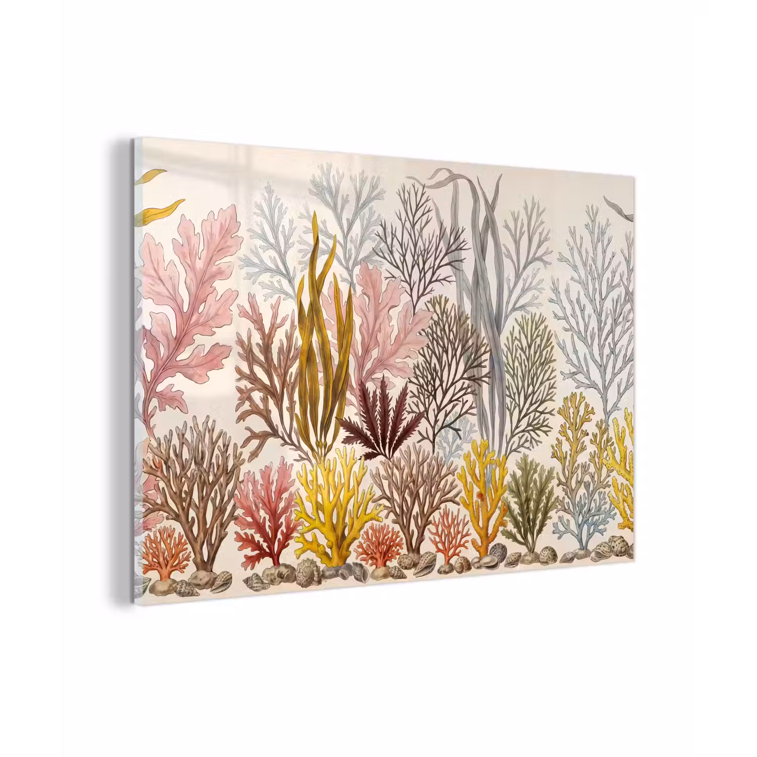 Natuur - Onderwater - Botanisch - Vintage - Kleurrijk plexiglas 5mm klein -zzzproduct_nieuw
