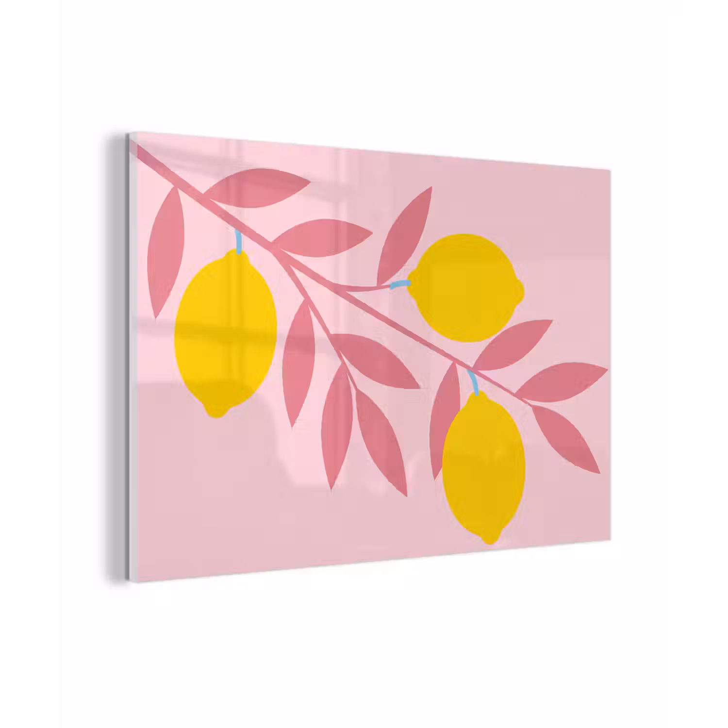 Fruit - Tak - Natuur - Abstract - Roze plexiglas 5mm klein -zzzproduct_nieuw