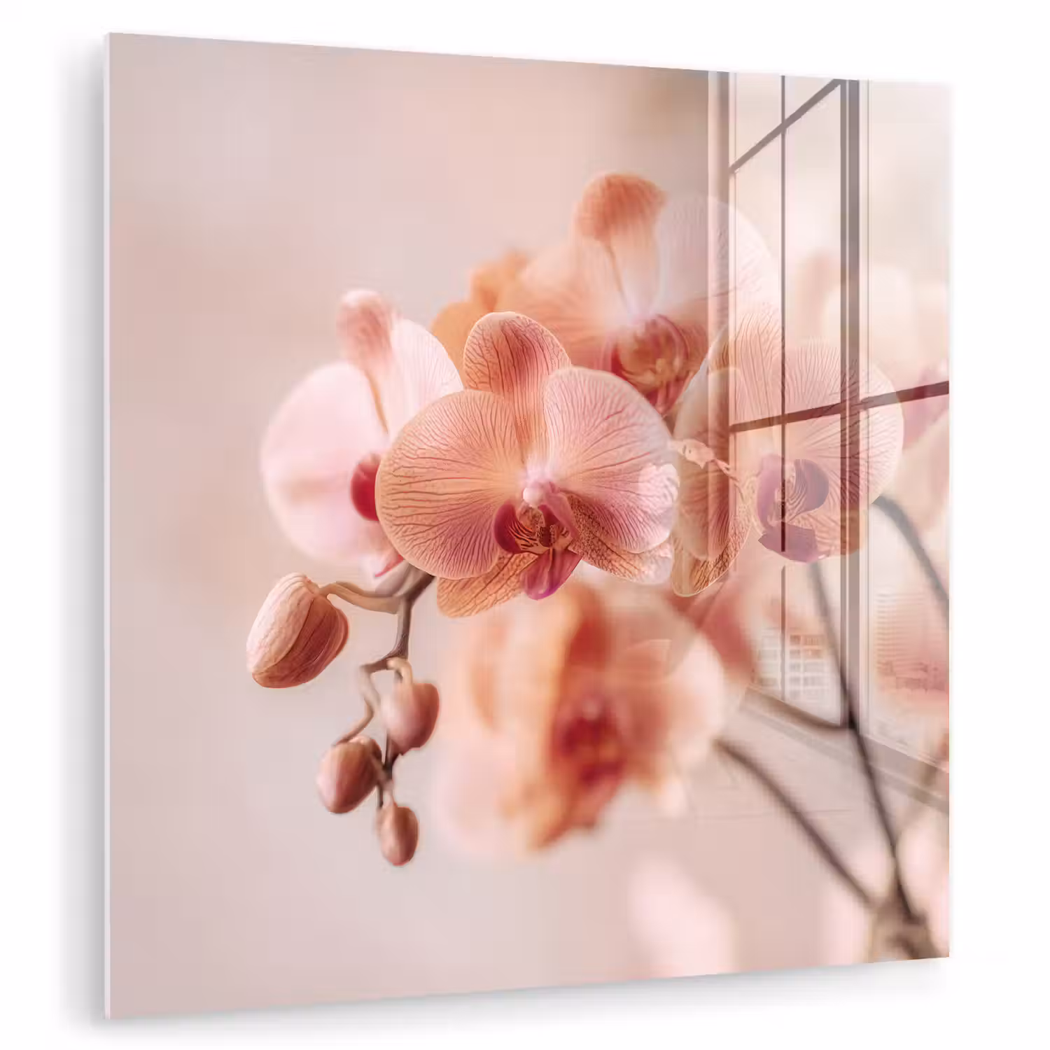 Orchidee - Bloemen - Roze - Bloemblaadjes plexiglas 5mm klein -zzzproduct_nieuw
