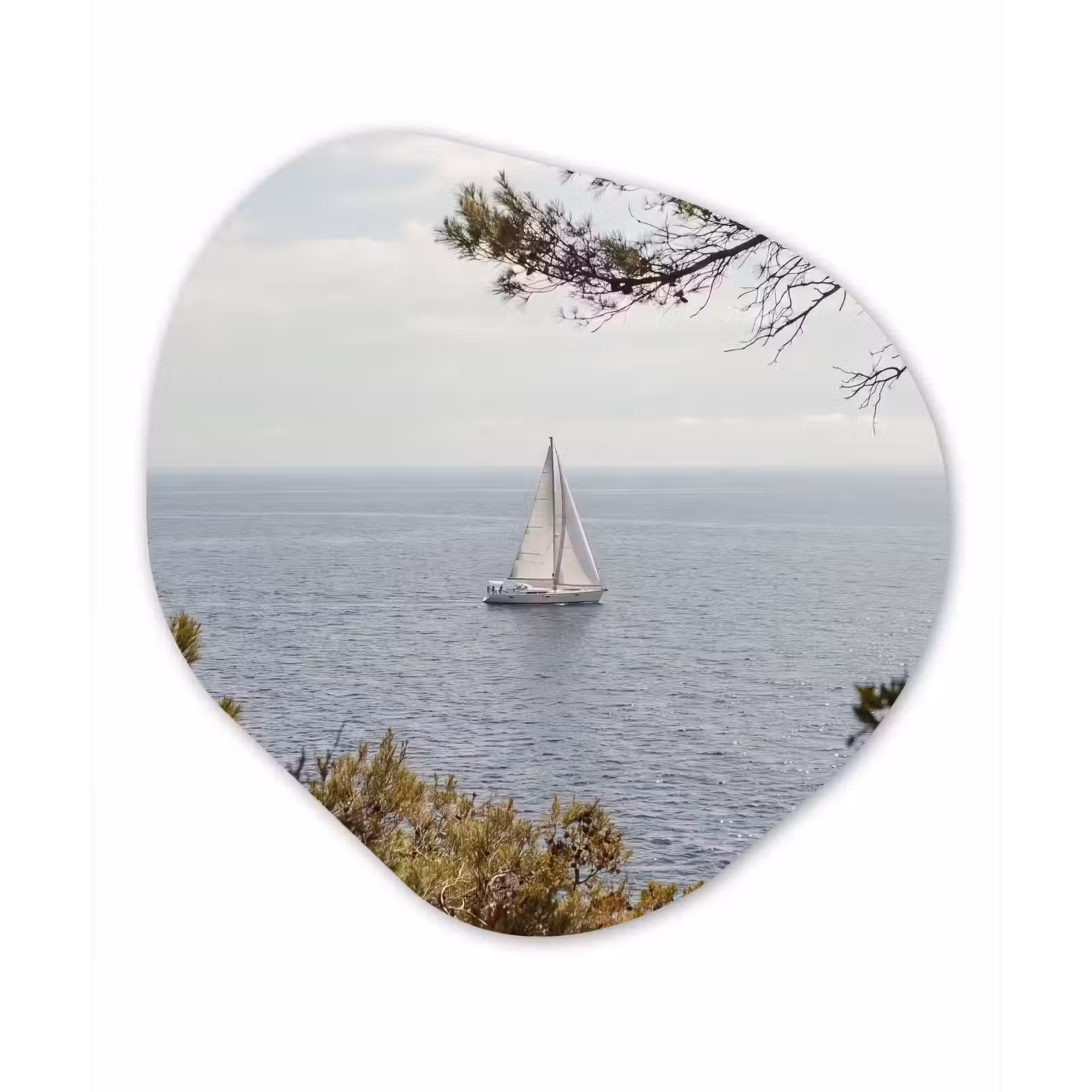 Glasbild Organische Form - Segelboot – Bäume – Wasser - Zeilboot - bomen - water Wandcirkel Organisch Plexiglas middel