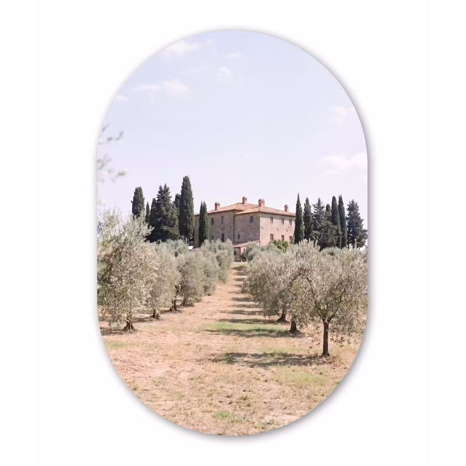 Glasbild Oval - Landhaus – Olivenbaum – Obstgarten - Landhuis - olijfboom - gaard Wandcirkel Ovaal Glas middel