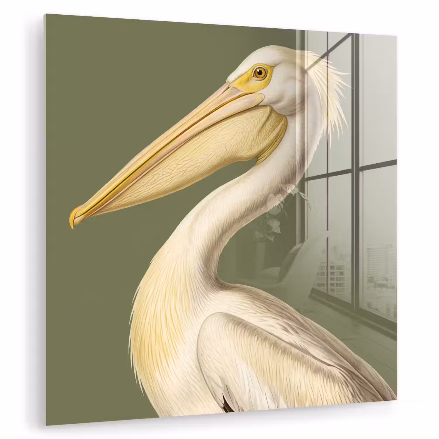 Pelikaan - Wit - Vogel - Klassiek - Natuur plexiglas 5mm klein -zzzproduct_nieuw