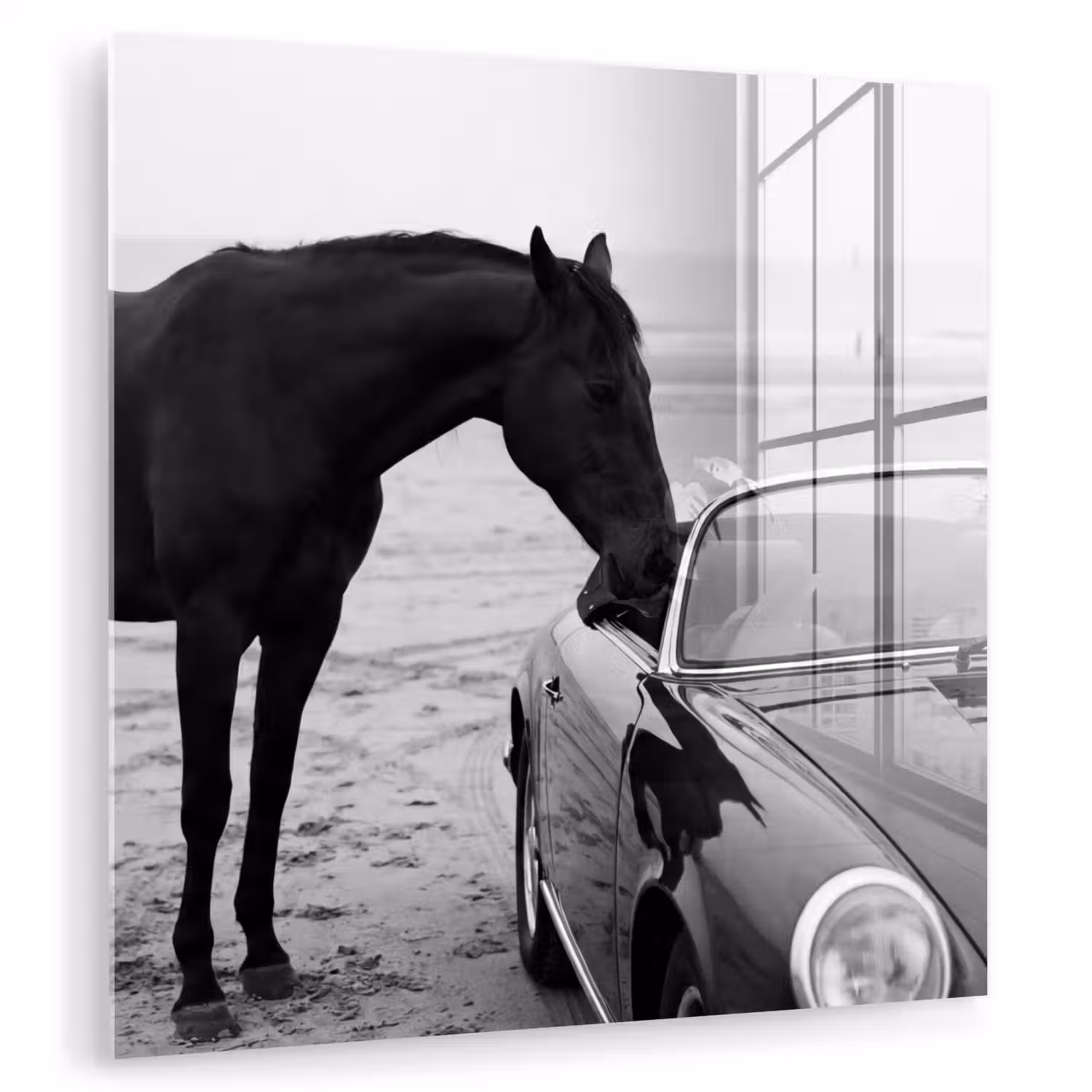 Paard - Auto - Zwart - Wit plexiglas 5mm klein -zzzproduct_nieuw