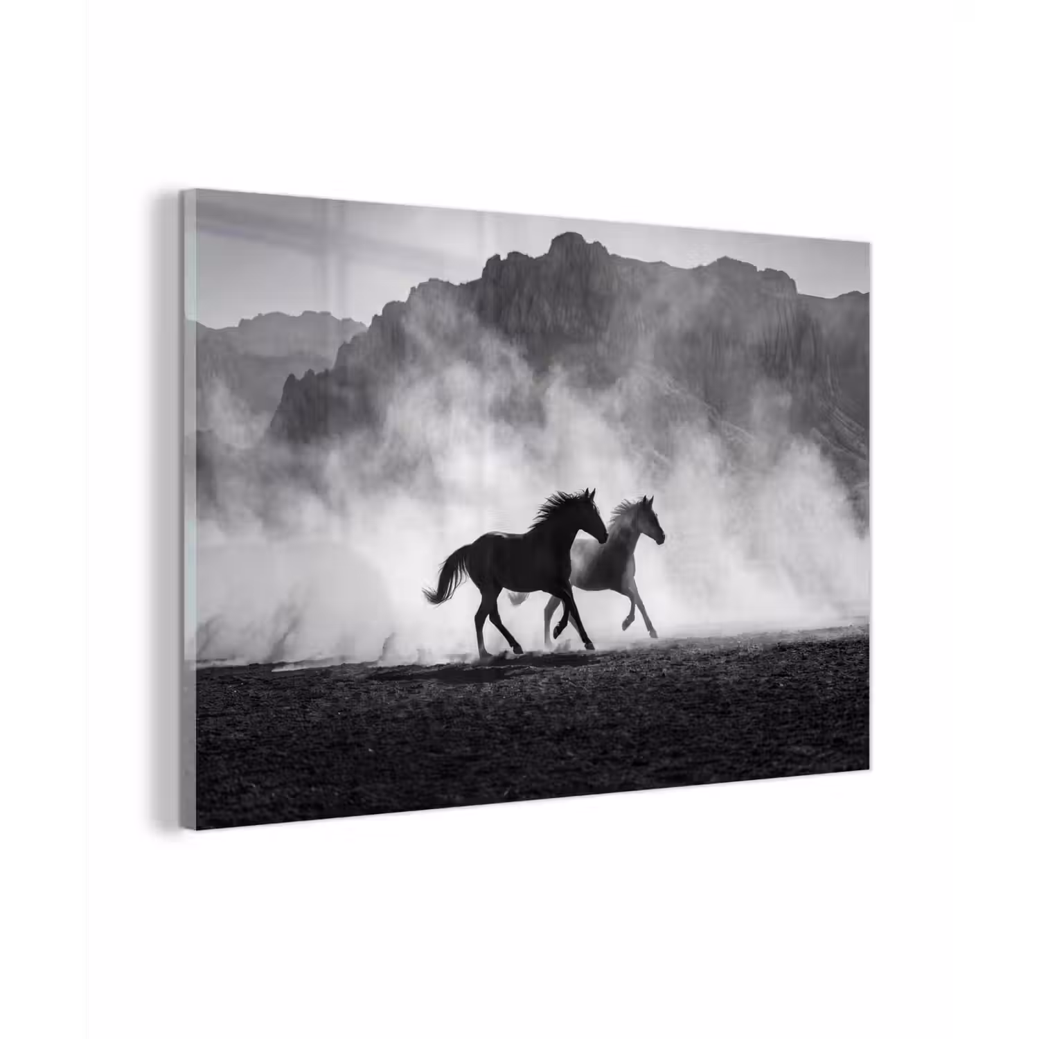 Paard - Ren - Stof - Zwart-wit - Dieren plexiglas 5mm klein -zzzproduct_nieuw