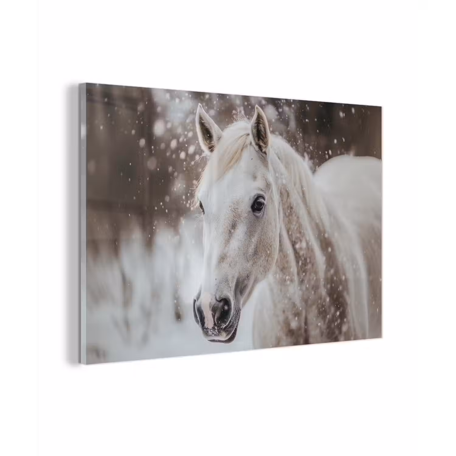 Paard - Wit - Winter - Natuur - Sneeuw - Dieren plexiglas 5mm klein -zzzproduct_nieuw
