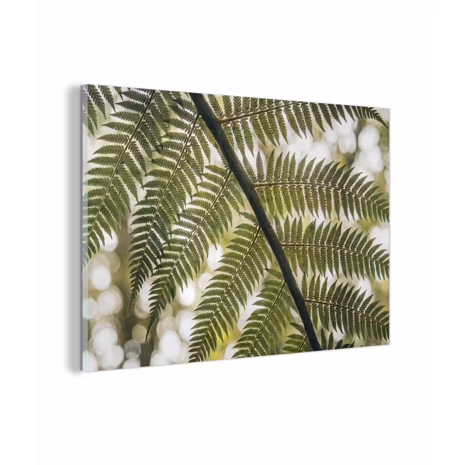 Plant - Blad - Natuur - Groen - Detail plexiglas 5mm klein -zzzproduct_nieuw