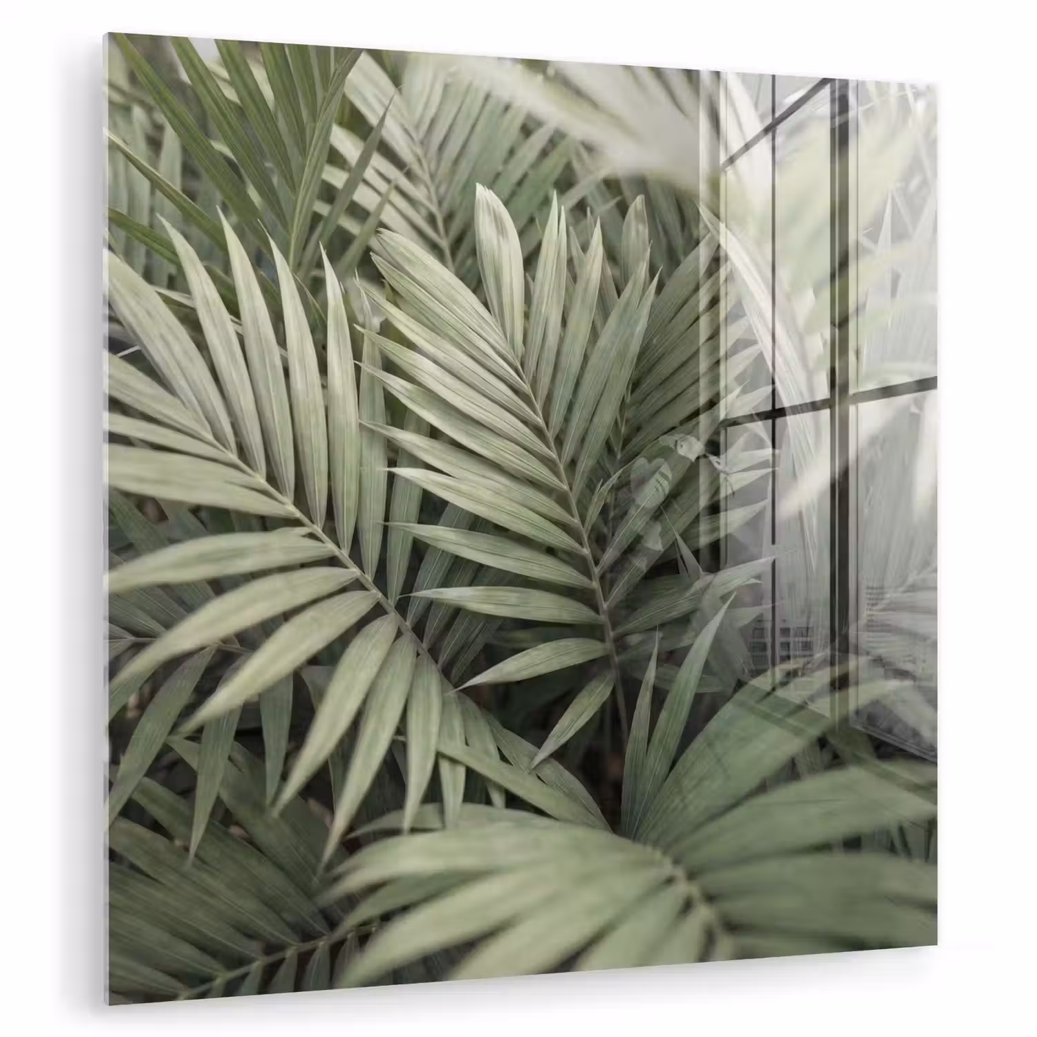 Plant - Palmbladeren - Natuur - Groen plexiglas 5mm klein -zzzproduct_nieuw