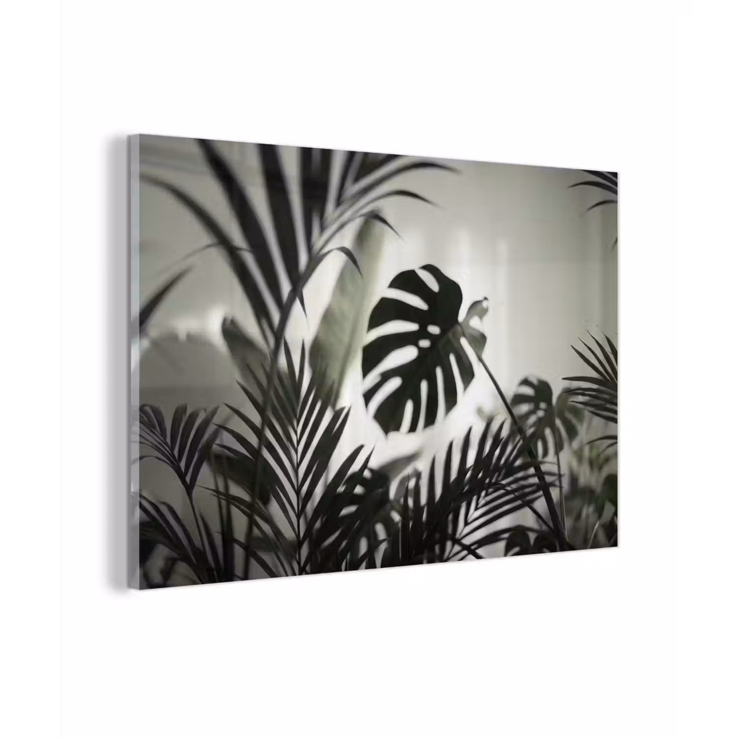 Planten - Bladeren - Natuur - Minimalistisch - Groen plexiglas 5mm klein -zzzproduct_nieuw