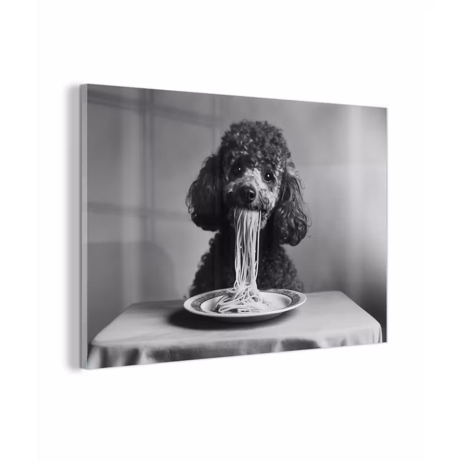 Poedel - Hond - Zwart - Wit - Schattig - Pasta plexiglas 5mm klein -zzzproduct_nieuw