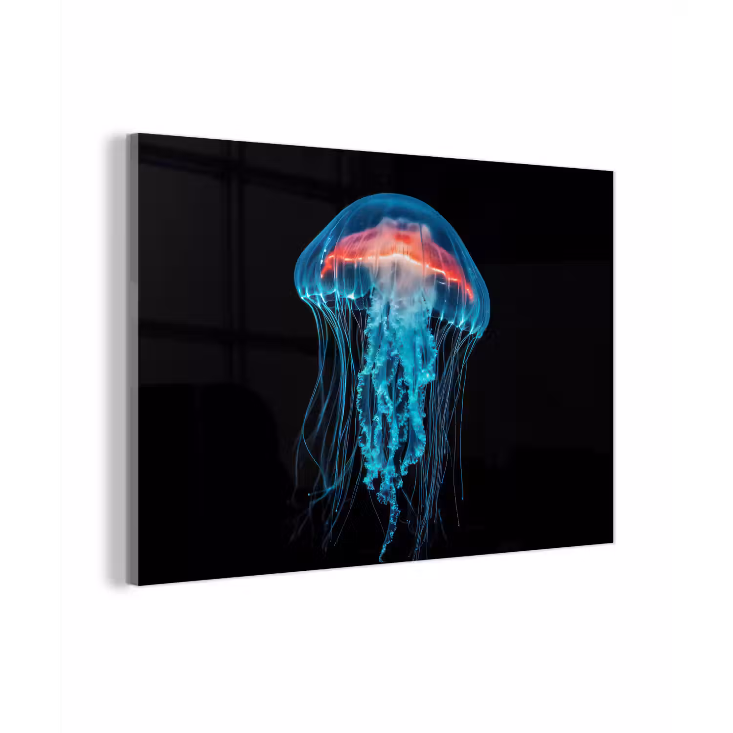 Kwal - Tentakels - Blauw - Licht plexiglas 5mm klein -zzzproduct_nieuw