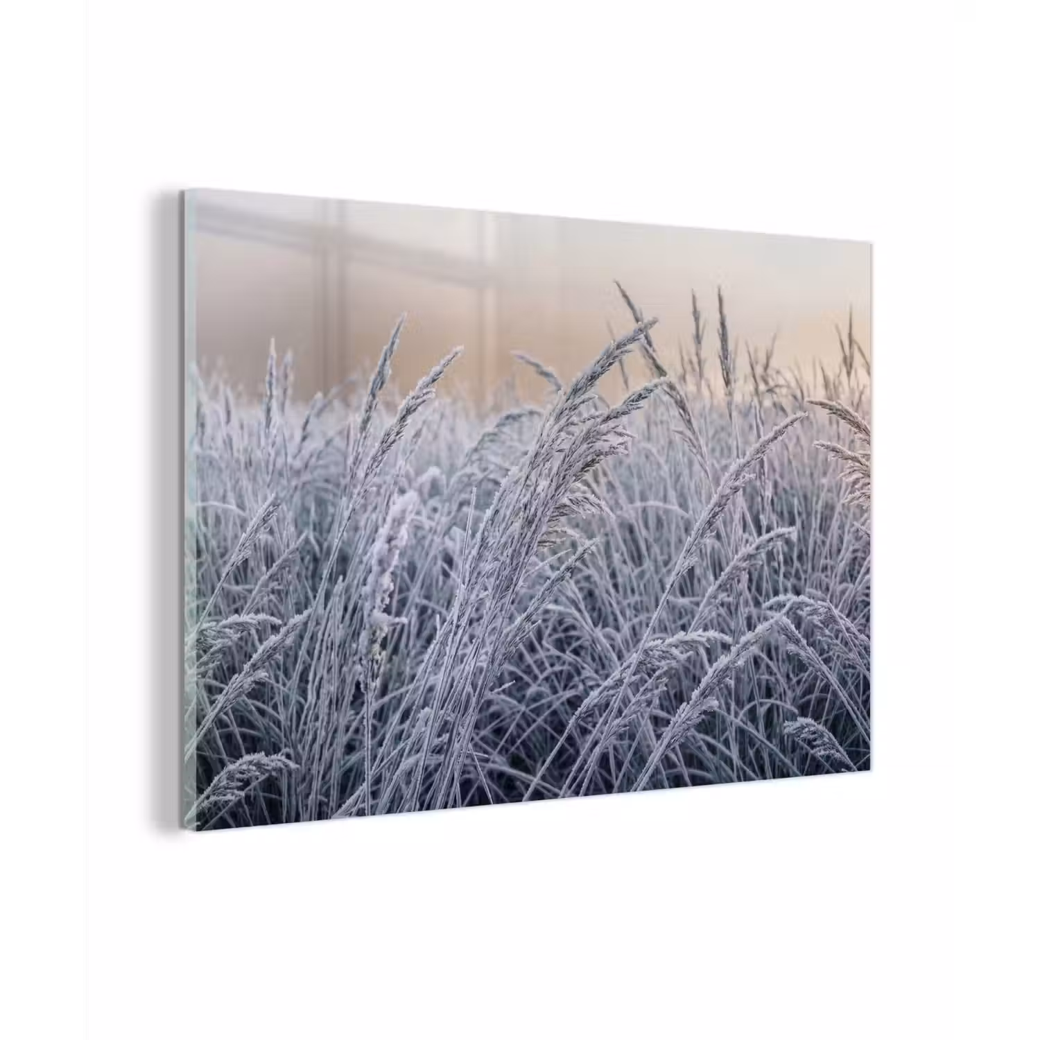 Rijp - Gras - Kristallen - Winter - Minimalistisch plexiglas 5mm klein -zzzproduct_nieuw