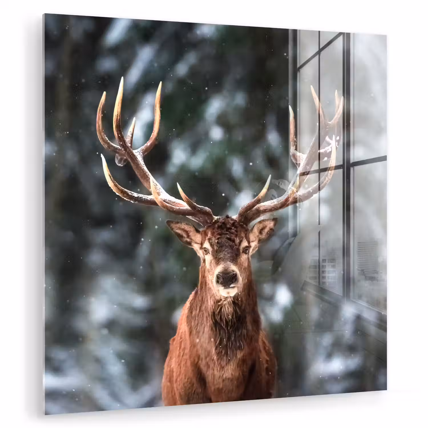 Hert - Winter - Sneeuw - Bos - Natuur - Dier plexiglas 5mm klein -zzzproduct_nieuw