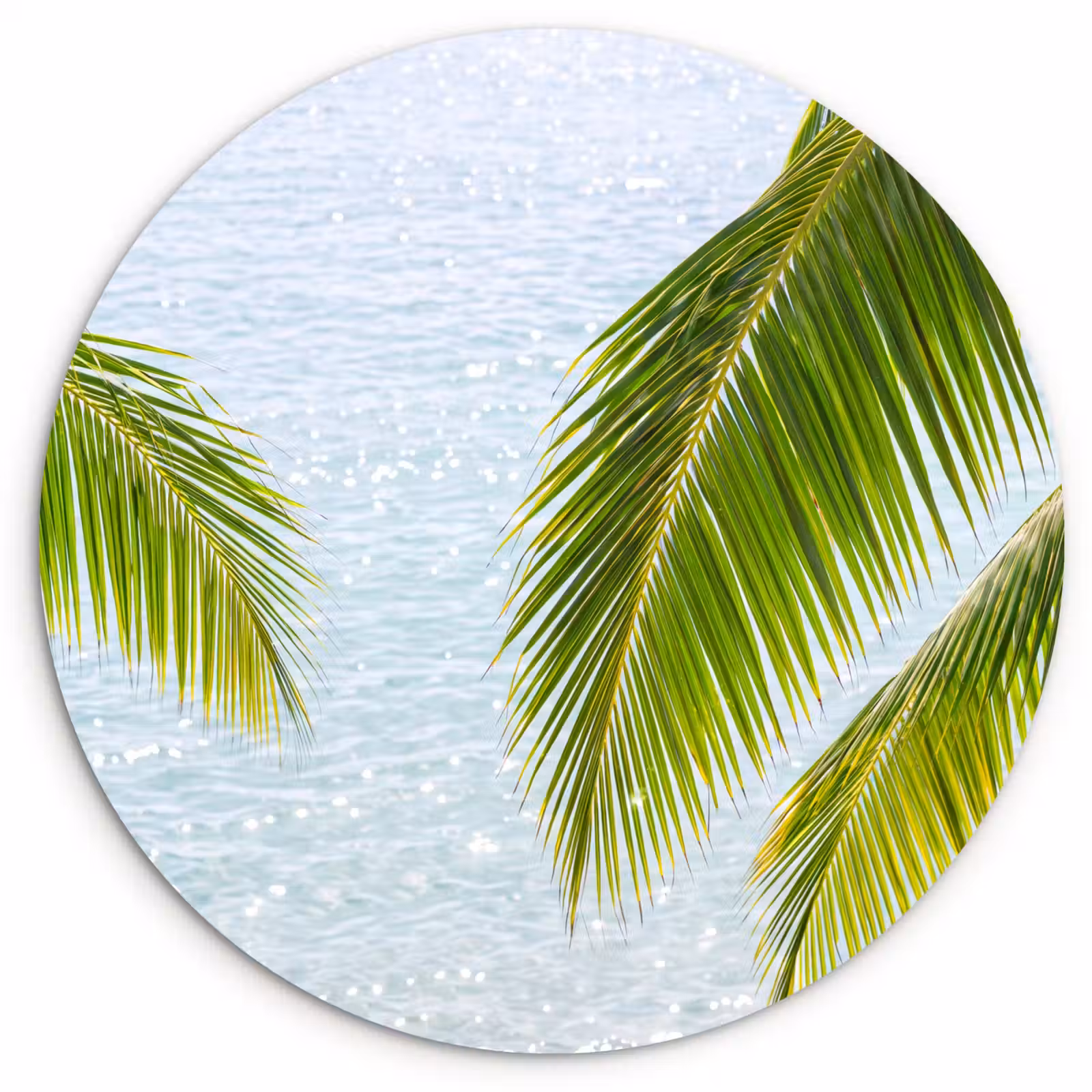 Glasbild Rund - Baum – Blätter – Wasser – tropisch – grün - Boom - Bladeren - Water - Tropisch - Groen Wandcirkel plexiglas klein