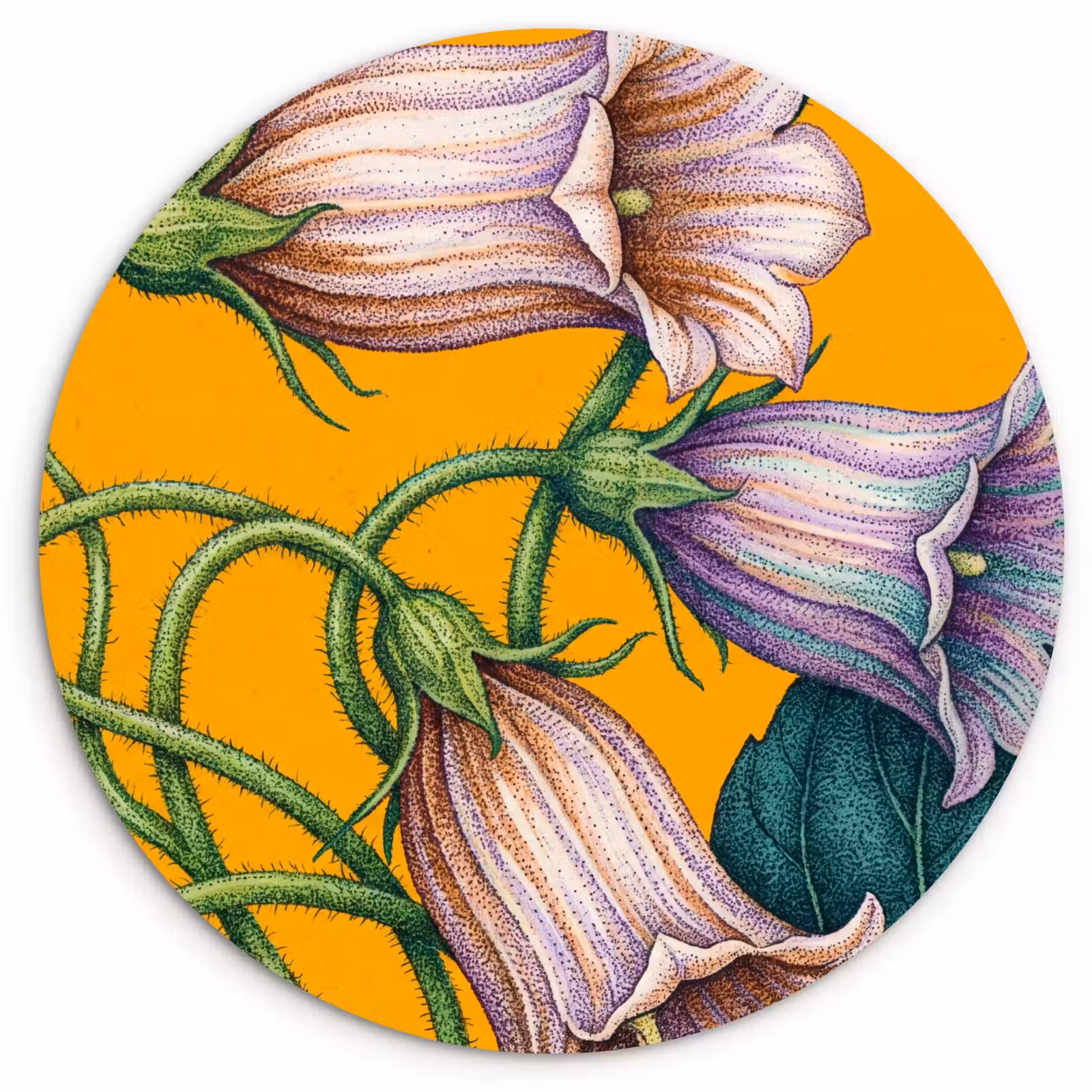 Glasbild Rund - Blumen – Botanik – Gelb - Bloemen - Botanisch - Geel Wandcirkel plexiglas klein