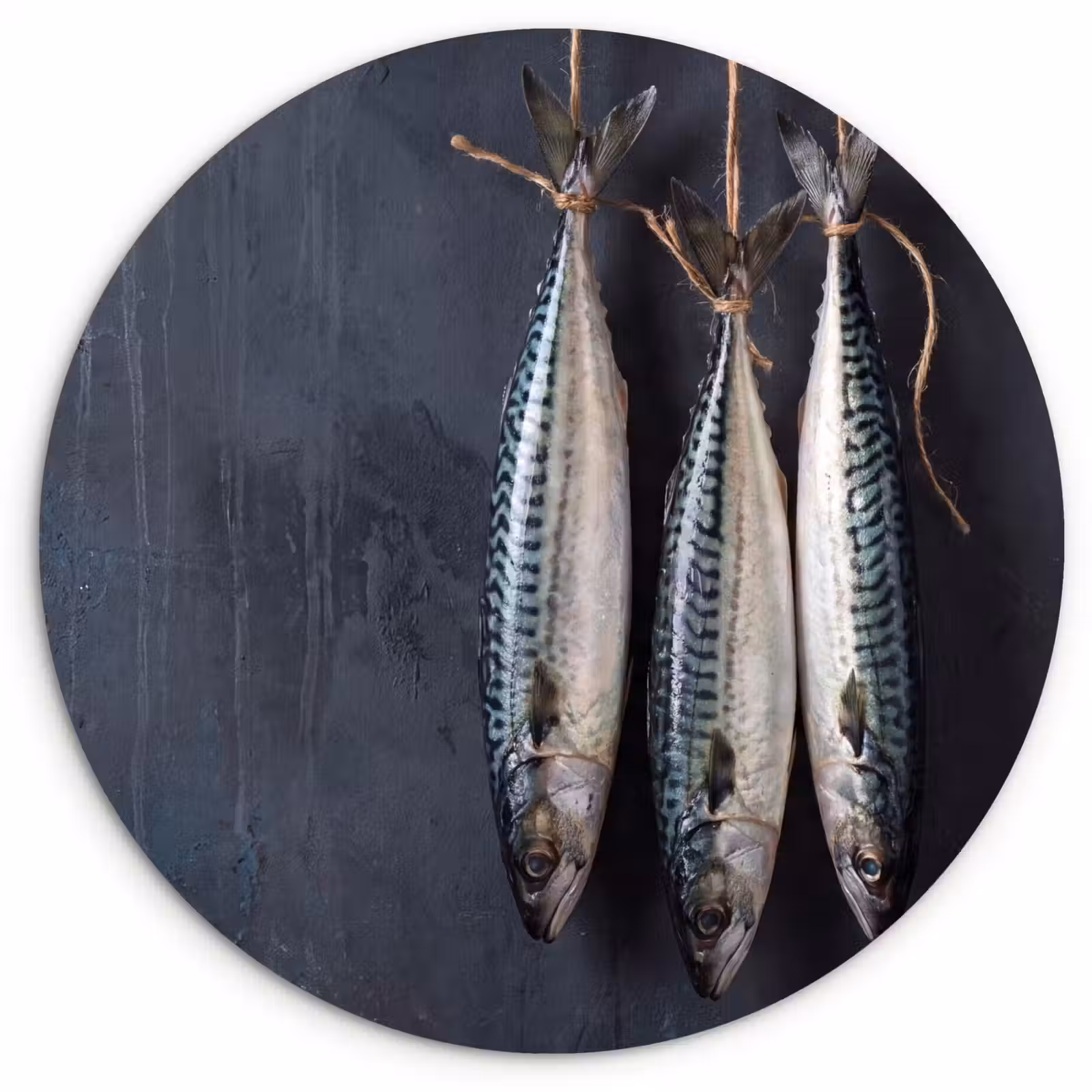 Glasbild Rund - Drei Fische – Seil - Drie vissen - Touw Wandcirkel plexiglas klein