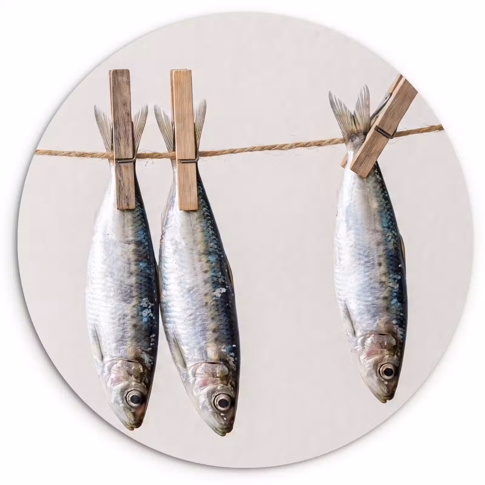 Glasbild Rund - Fisch – Hängend – Essen - Vis - Hangend - Eten Wandcirkel plexiglas klein