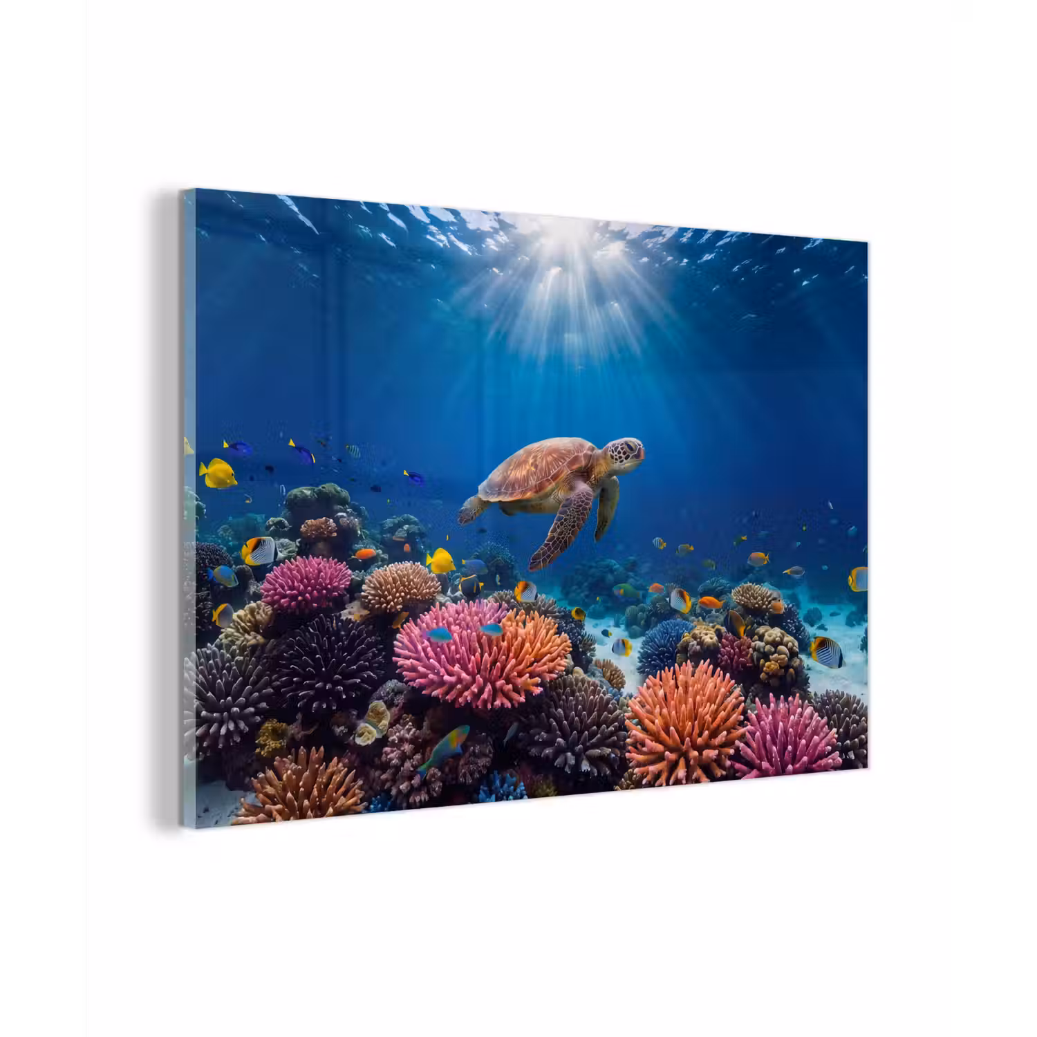 Schildpad - Koraalrif - Oceaan - Dieren - Blauw plexiglas 5mm klein -zzzproduct_nieuw