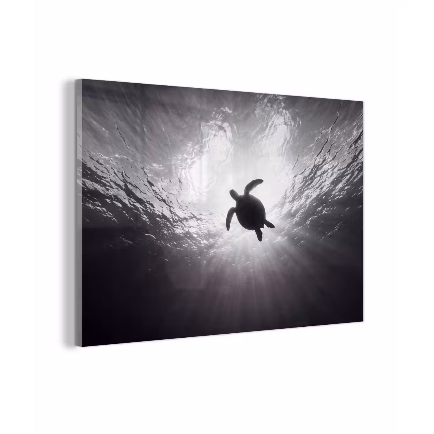 Schildpad - Onderwater - Lichtstralen - Oceaan - Zwart-wit plexiglas 5mm klein -zzzproduct_nieuw