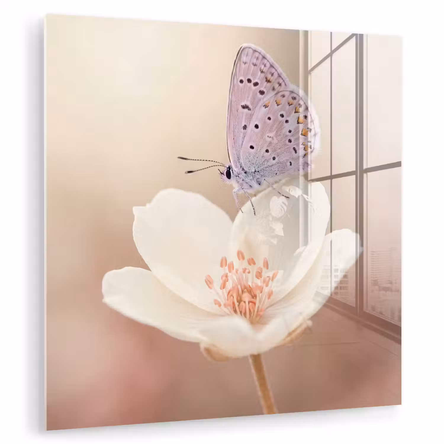 Vlinder - Bloem - Blauw plexiglas 5mm klein -zzzproduct_nieuw