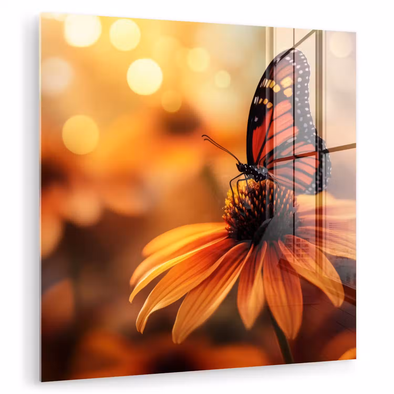 Vlinder - Bloemen - Oranje plexiglas 5mm klein -zzzproduct_nieuw