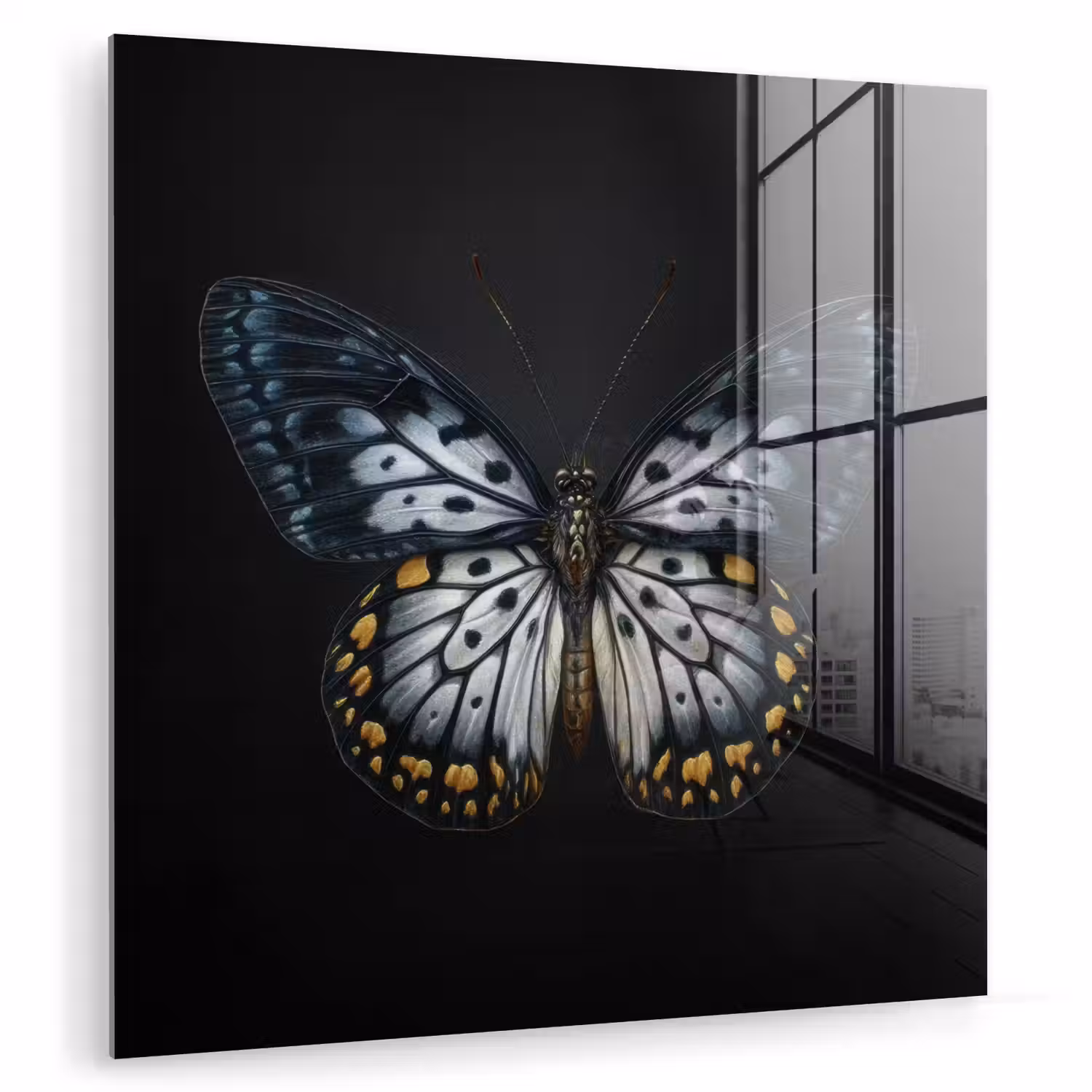 Vlinder - Monochroom - Balans plexiglas 5mm klein -zzzproduct_nieuw