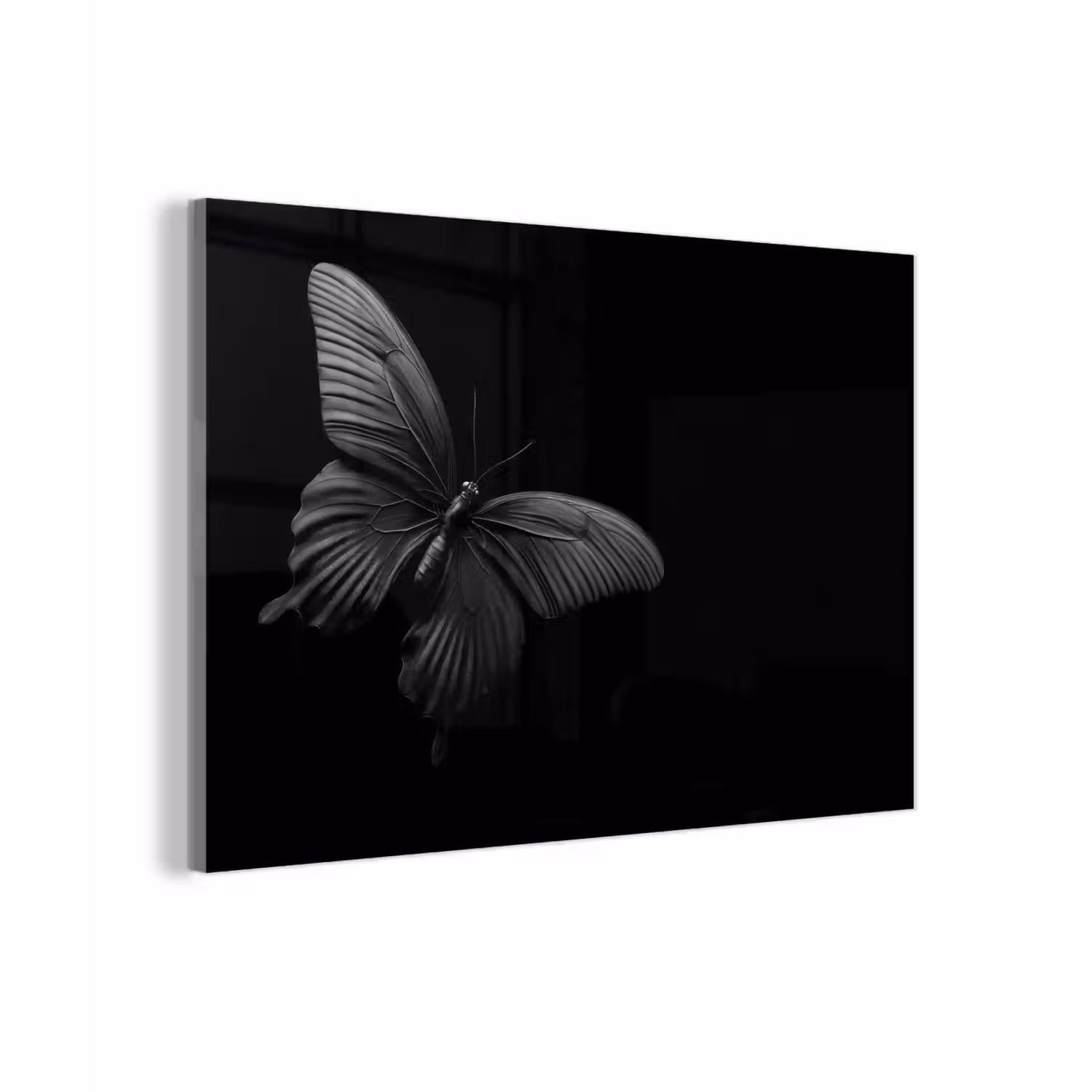 Vlinder - Zwart - Insect - Dieren plexiglas 5mm klein -zzzproduct_nieuw