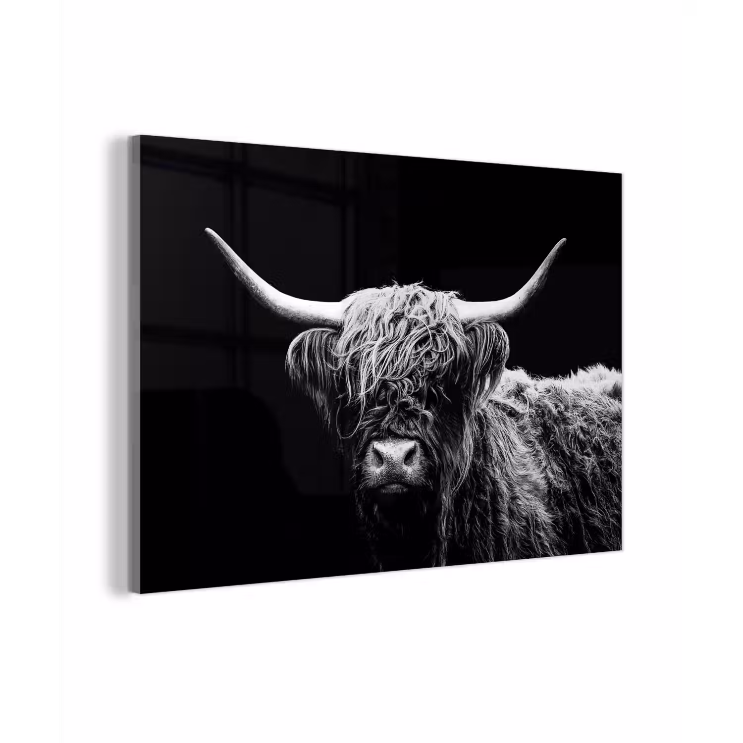 Schotse Hooglander - Koe - Zwart - Wit - Dieren plexiglas 5mm klein -zzzproduct_nieuw